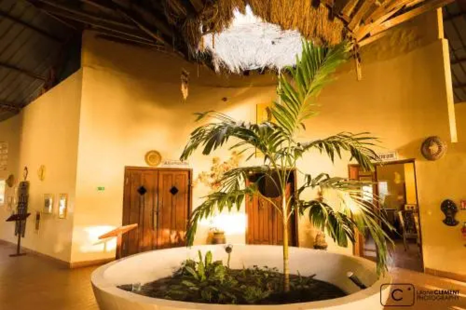 La source aux lamantins