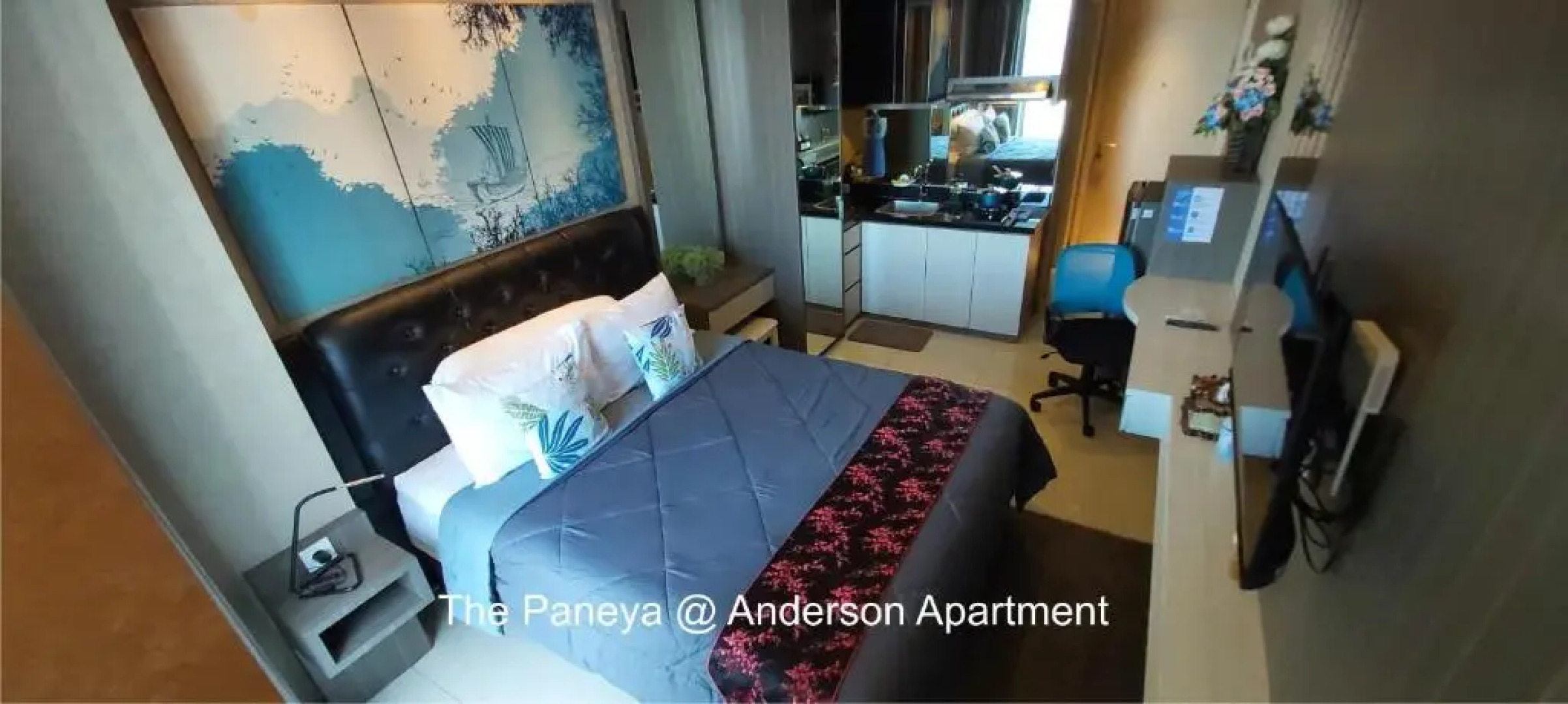 The Paneya @Anderson Apartment