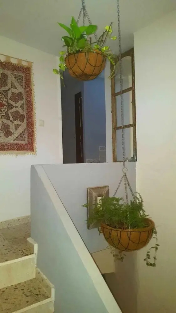 The Balcony