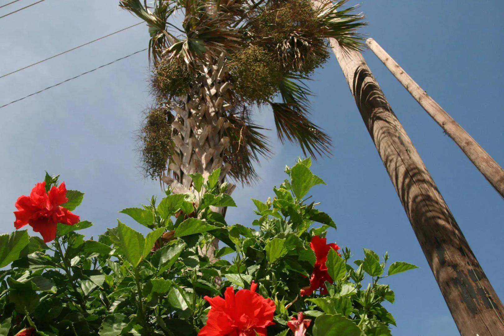 Hampton Inn & Suites Galveston