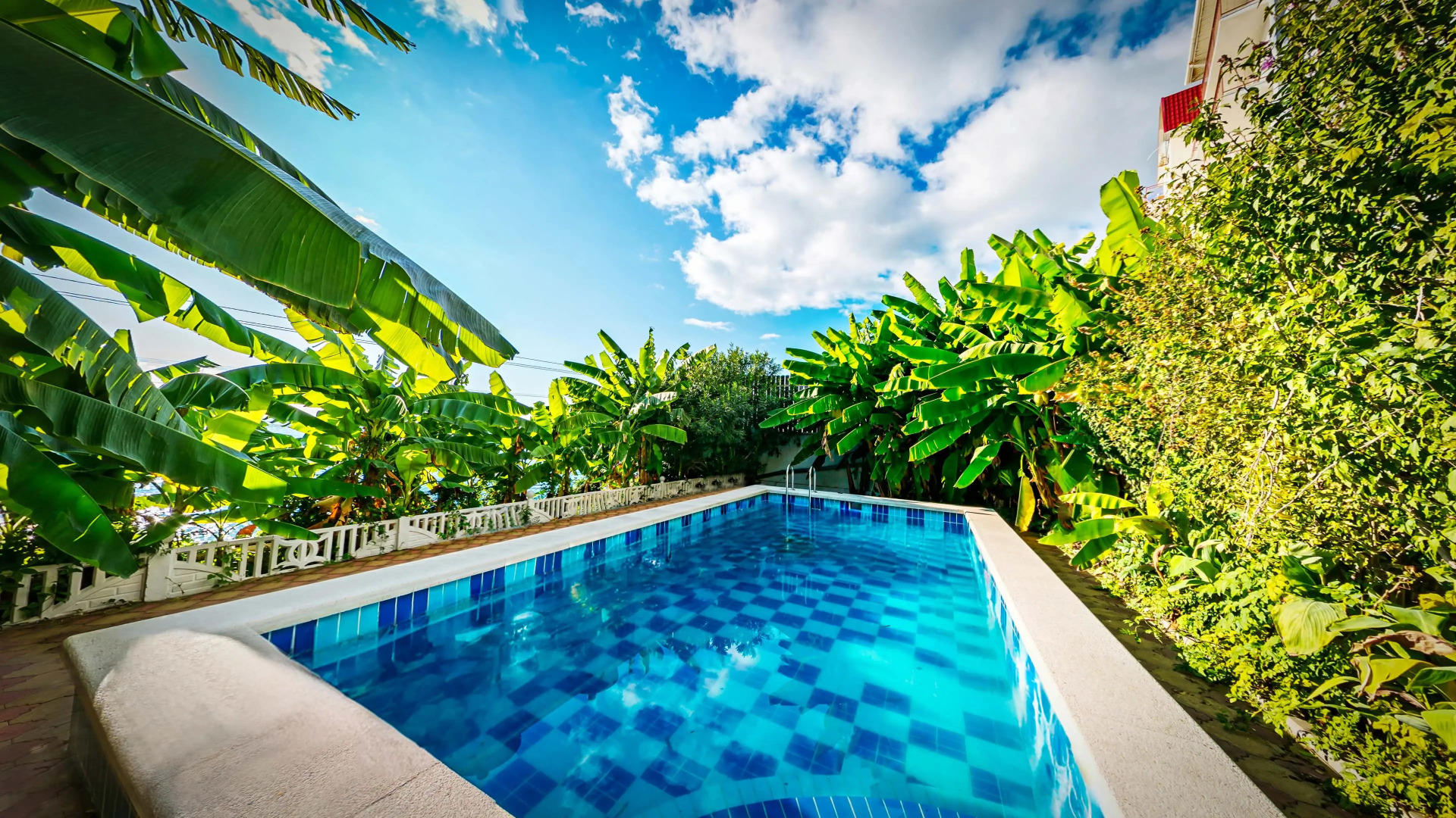 Фламинго (Лазаревское)