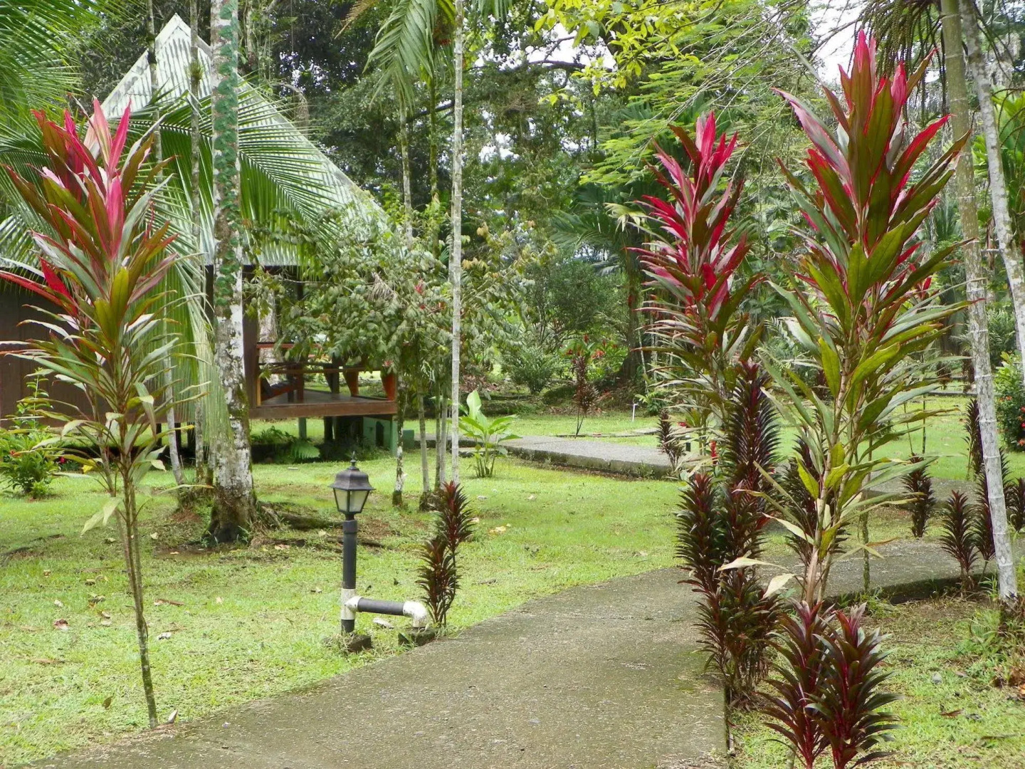 Pizote Lodge