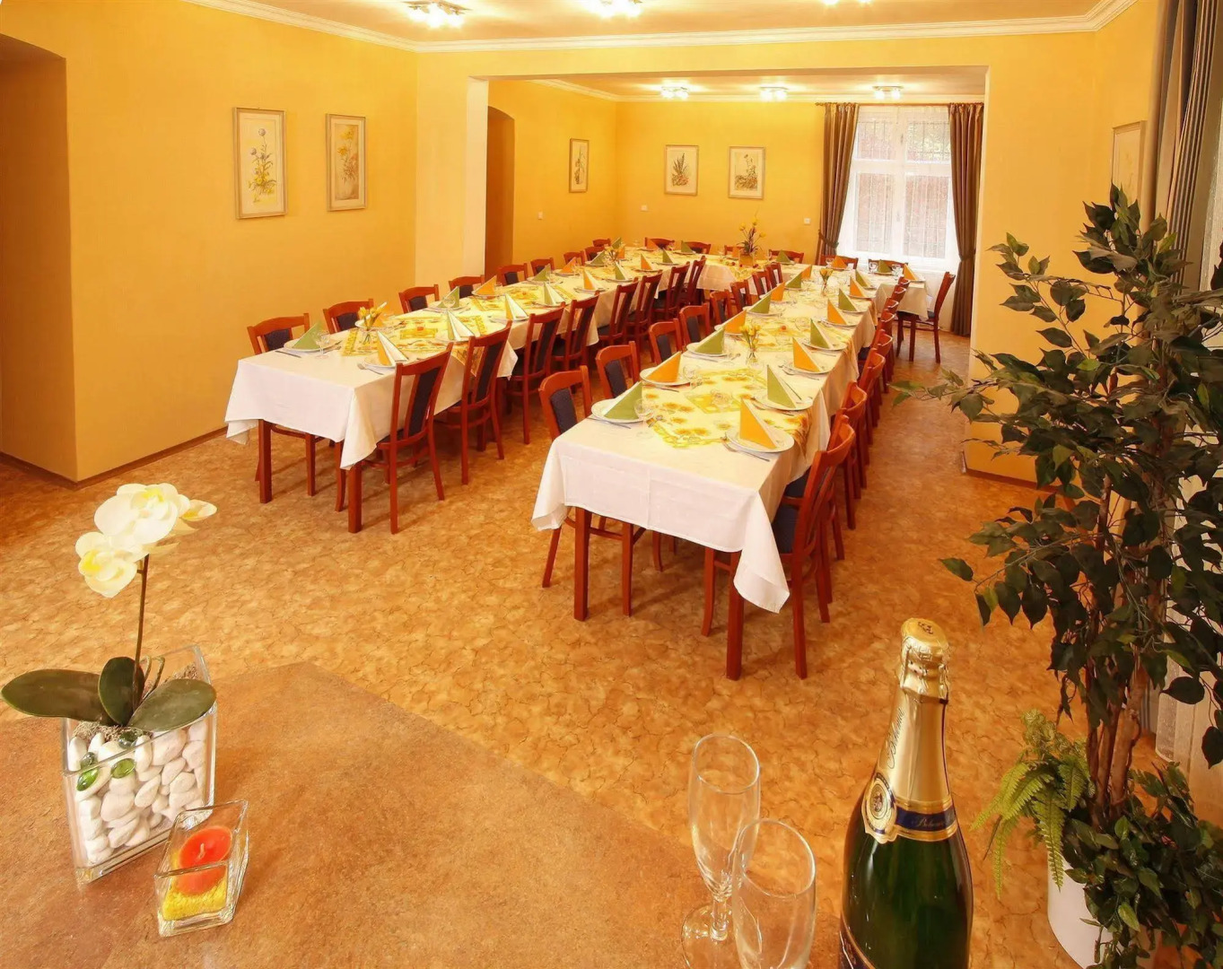 Lázeňská Léčebna Mánes