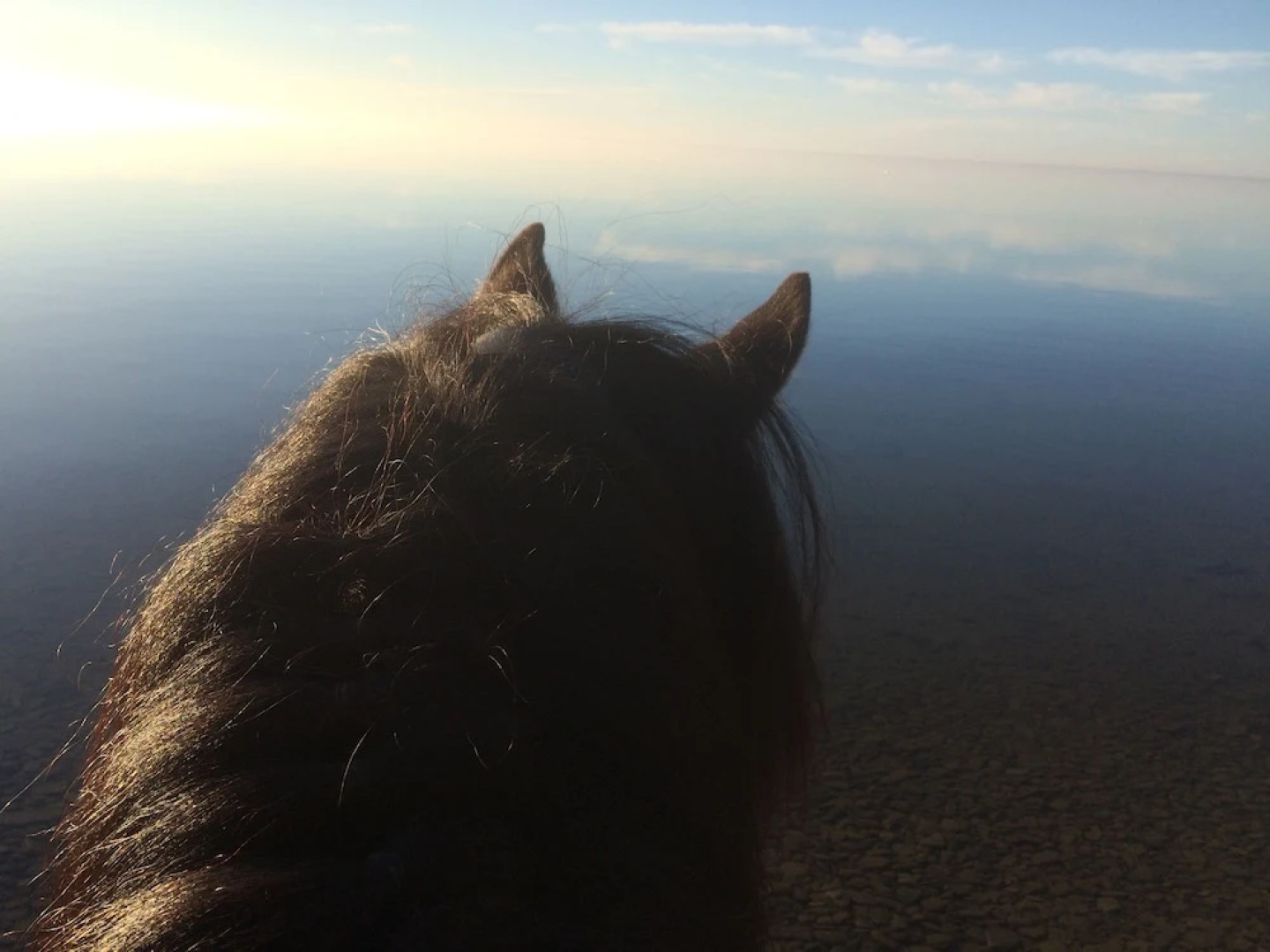 Ölands Yogastudio - Kollberggården