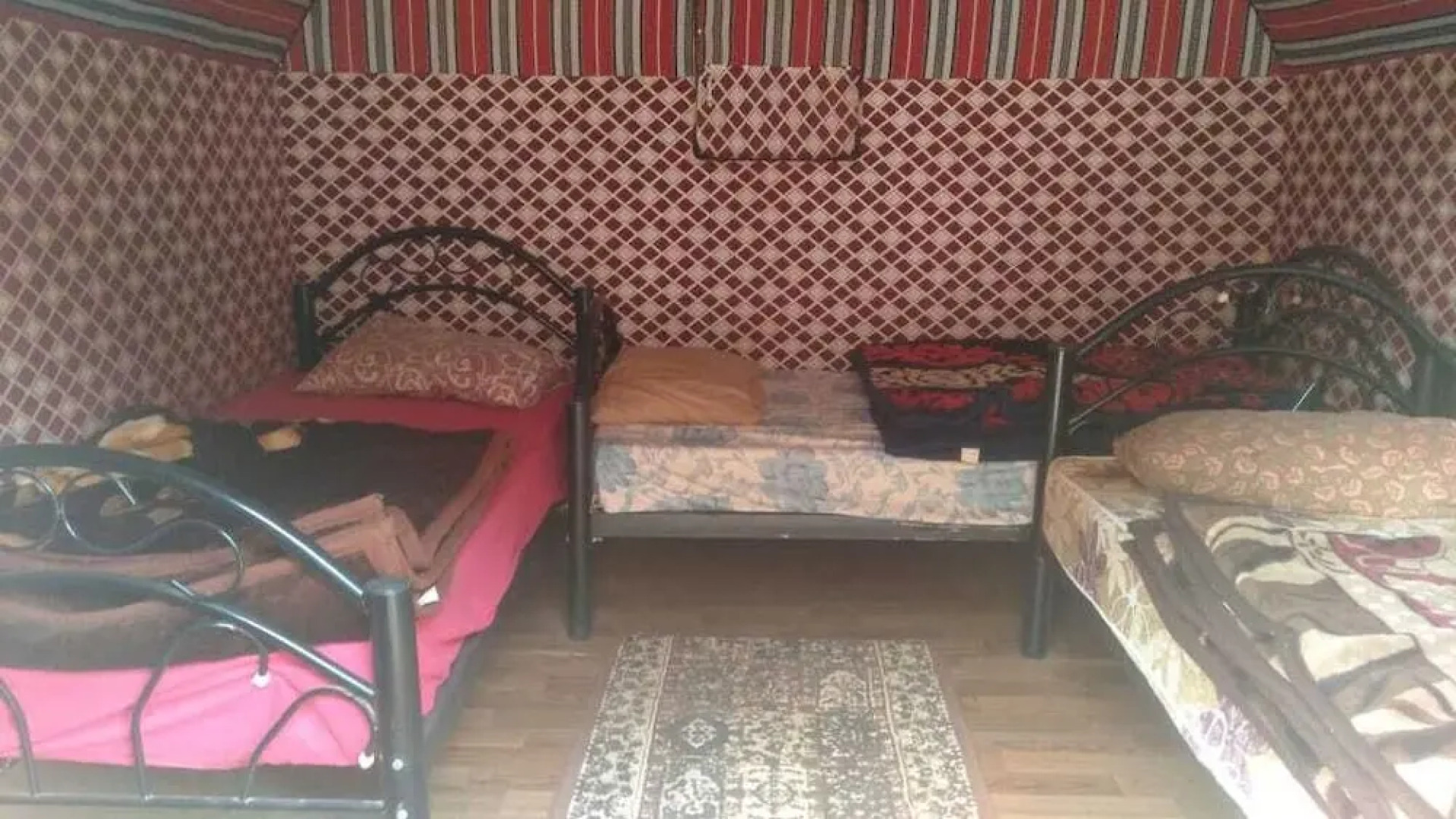 Bedouin habits tours camp