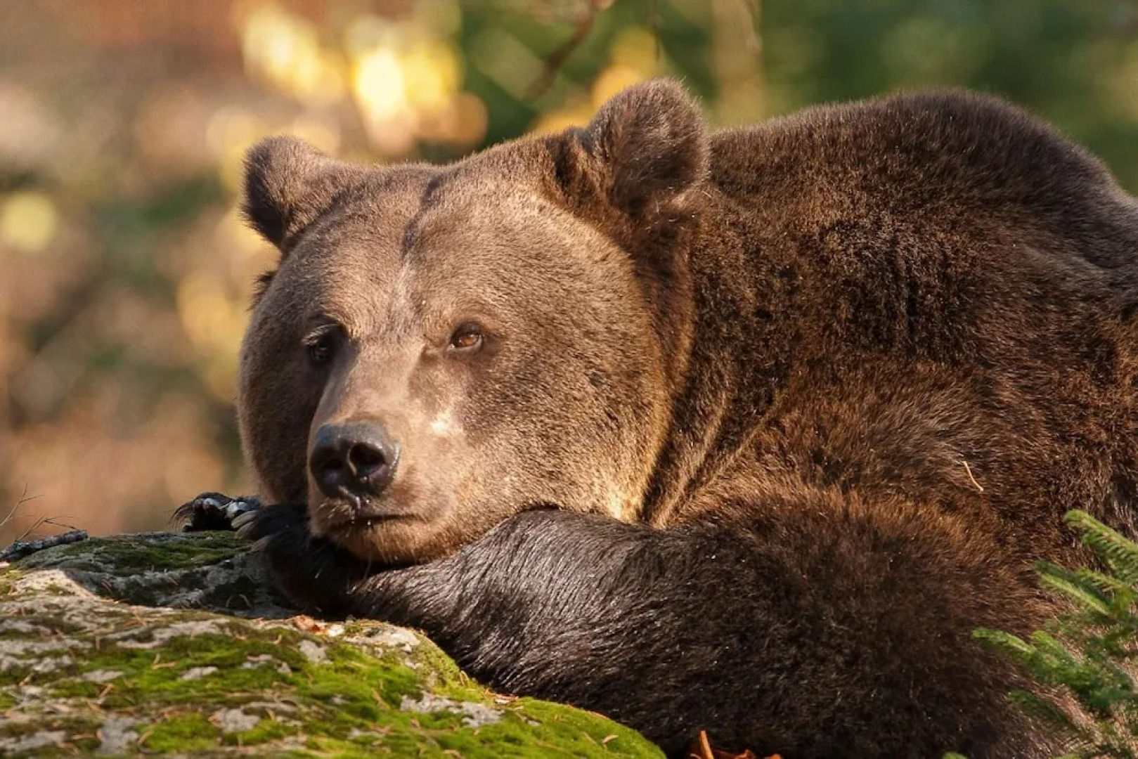 Hotel Gasthaus Zum Kellermann