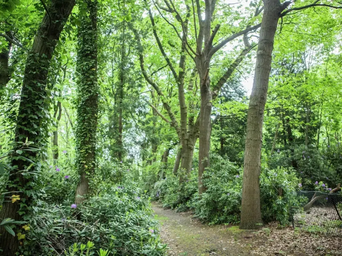 Westmalle Forest Garden Home