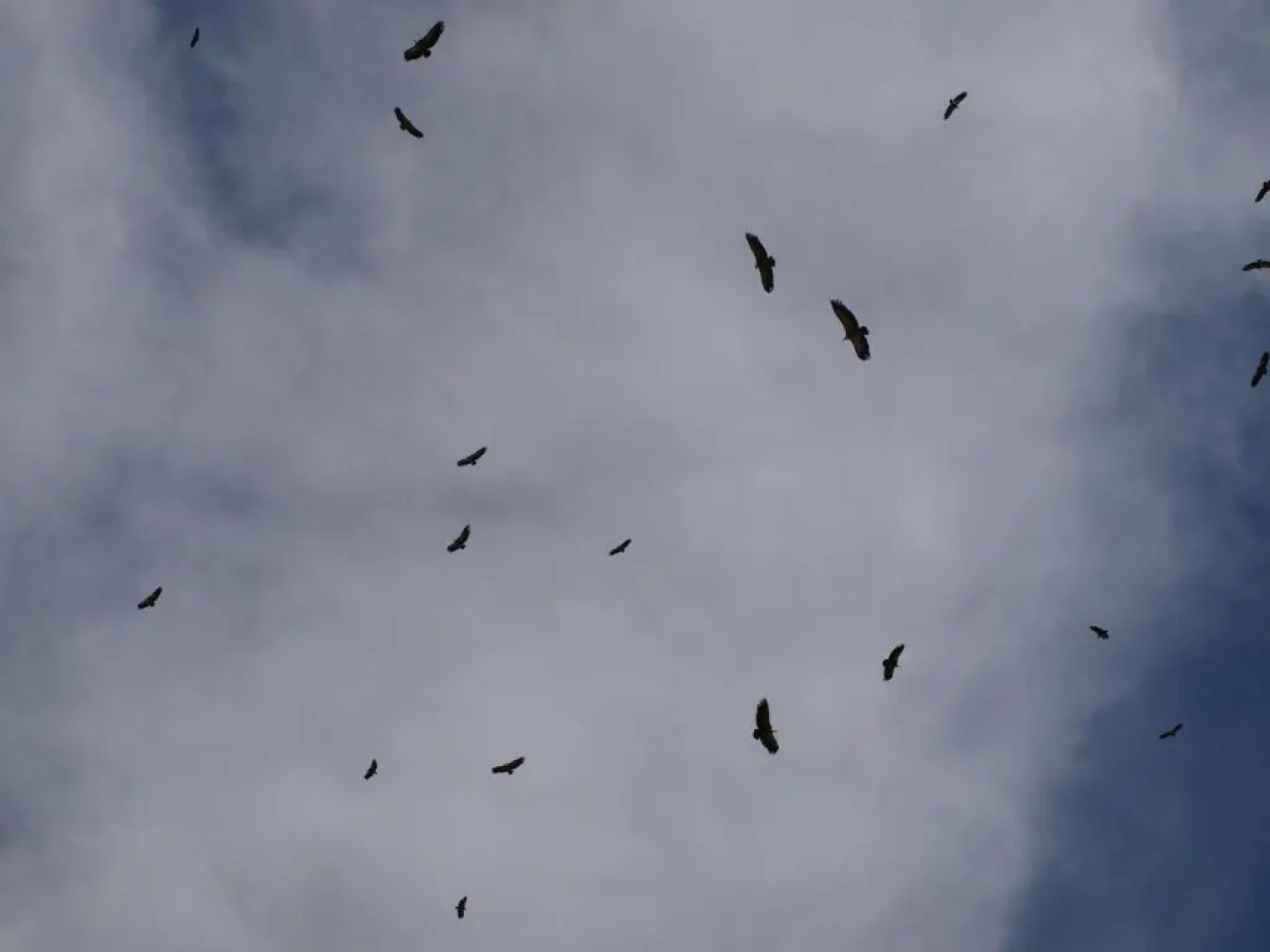 Albergue Fresno de Cantespino - La Tormenta