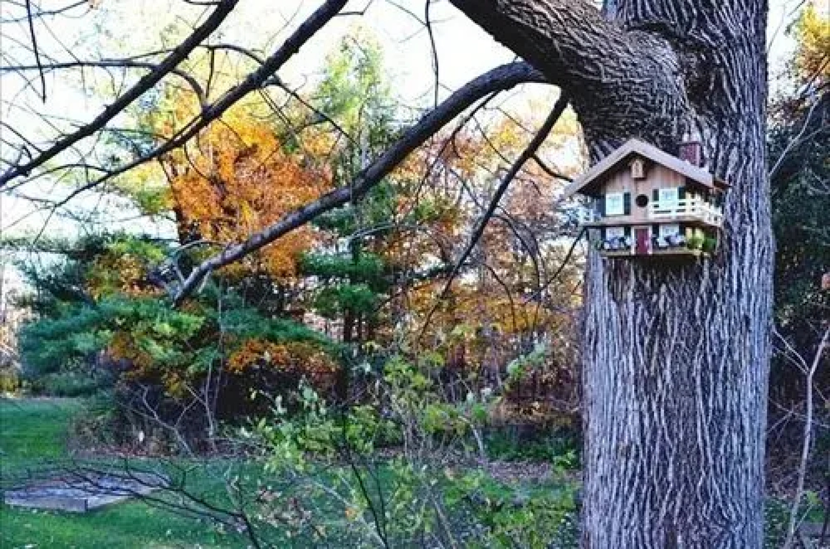 Toronto West KOA