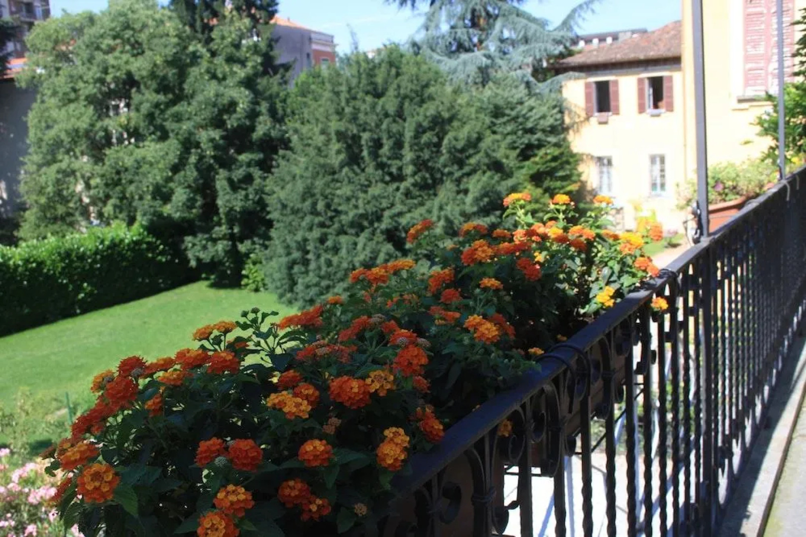 Lisander Bed & Breakfast