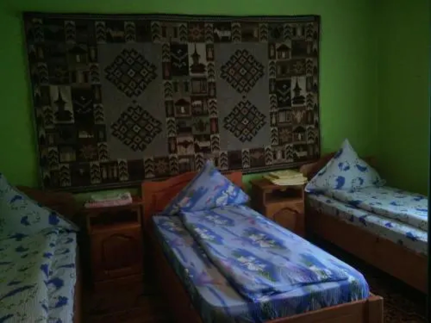 Pensiunea Ana Orghici