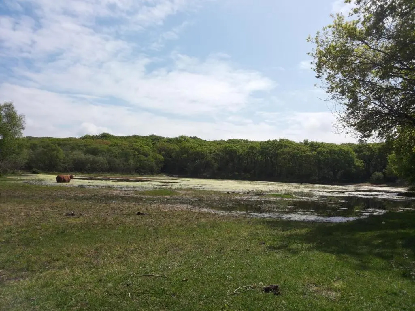 Zomerhuis De Zeedistel