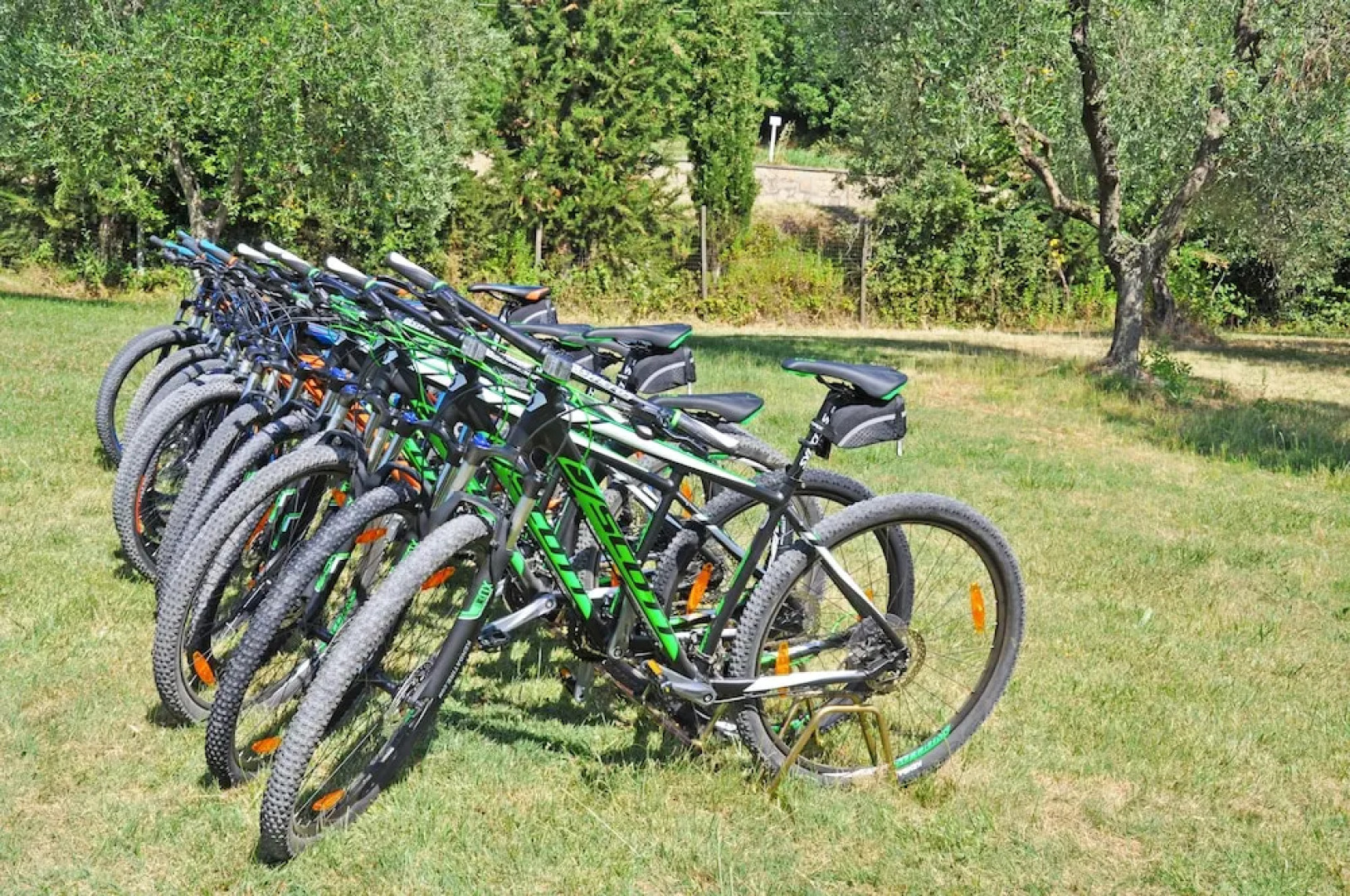 Agriturismo Belmonte Vacanze