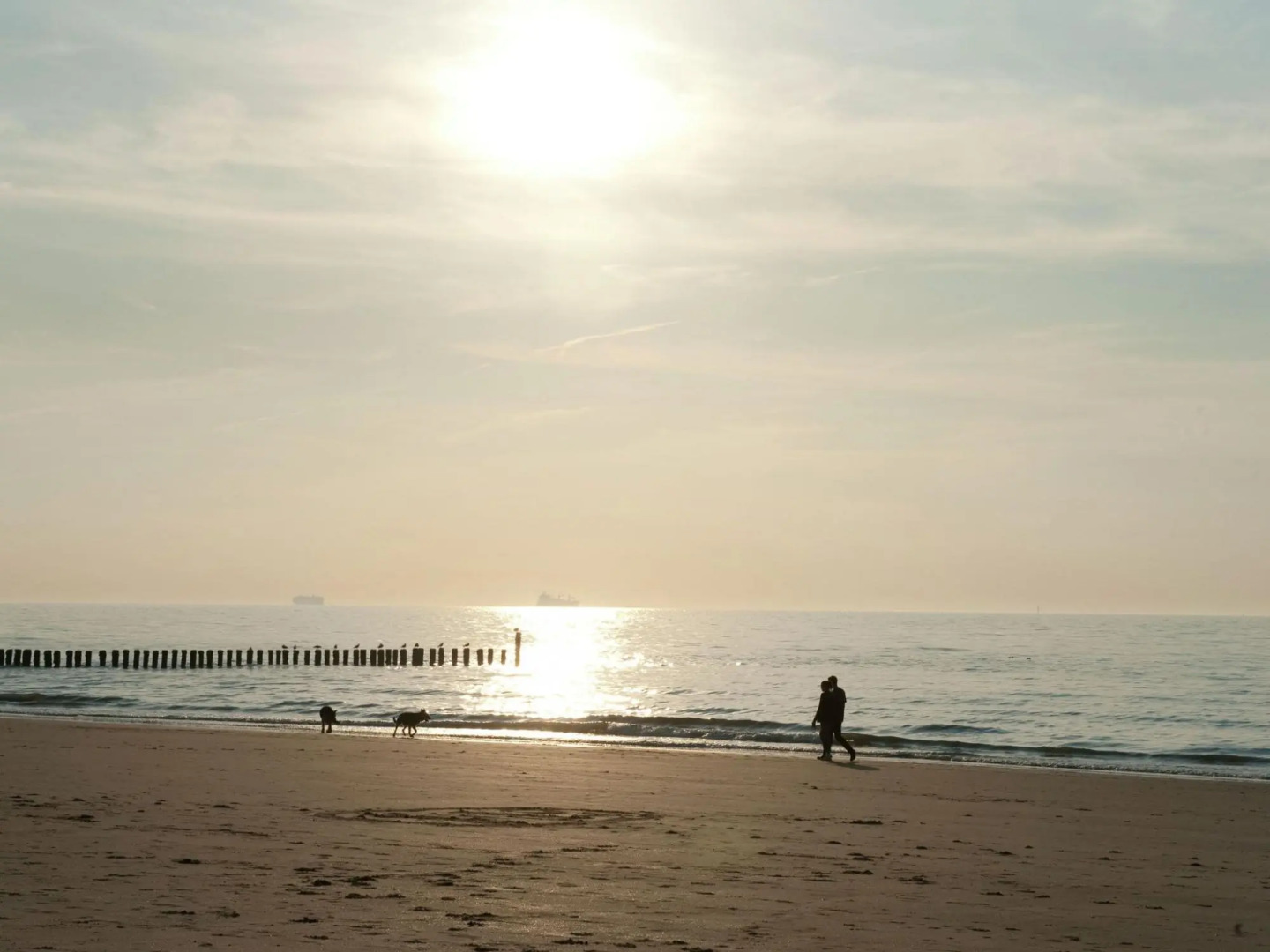 Restyled villa with sauna and rowing boat, in a holiday park, 400 m from the sea