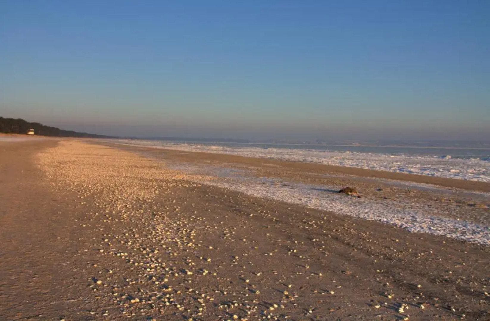 IFA Rügen Hotel & Ferienpark