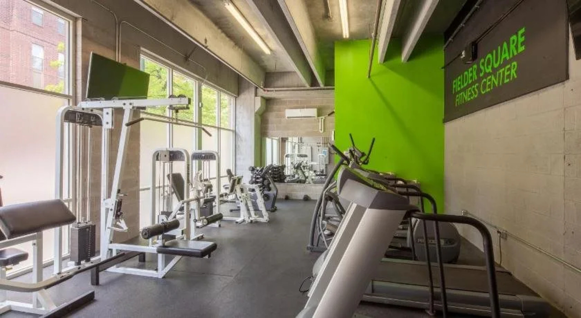 Stay Alfred on 4th Street