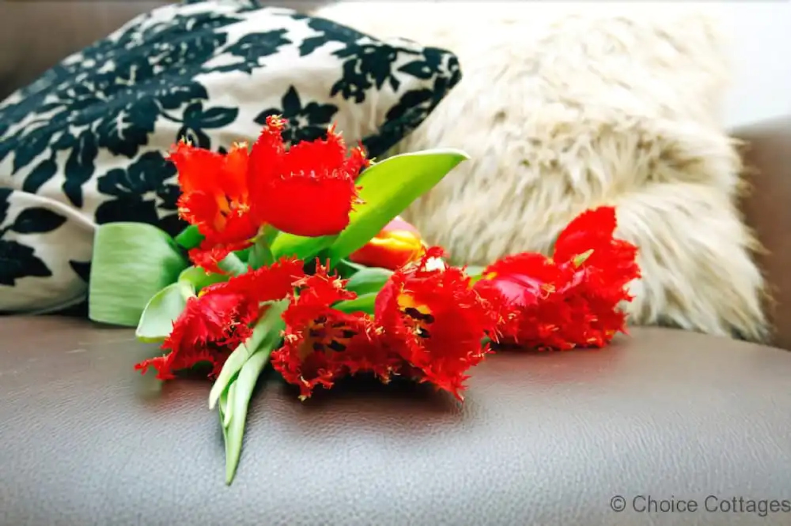 Croyde House 4 Bedrooms