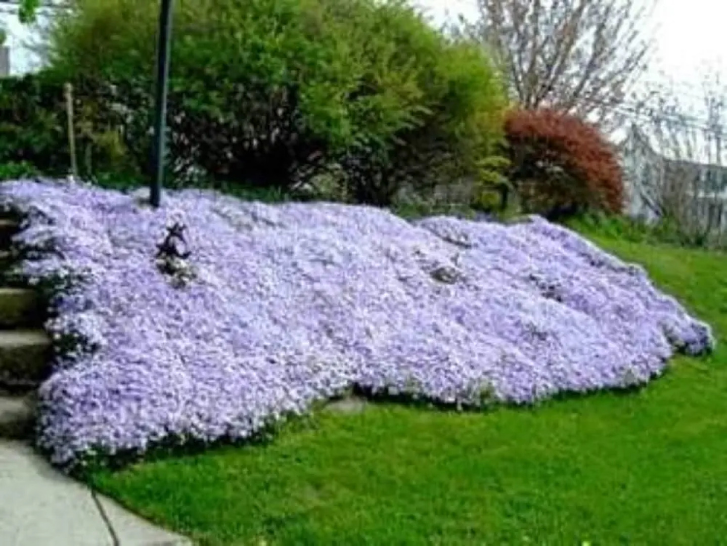 The Artist's Inn and Gallery