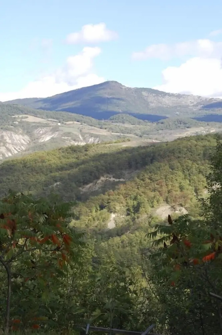 Verdidea - Podere Isabella