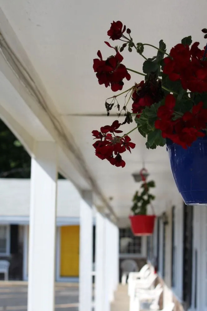 The Coachman Motor Inn