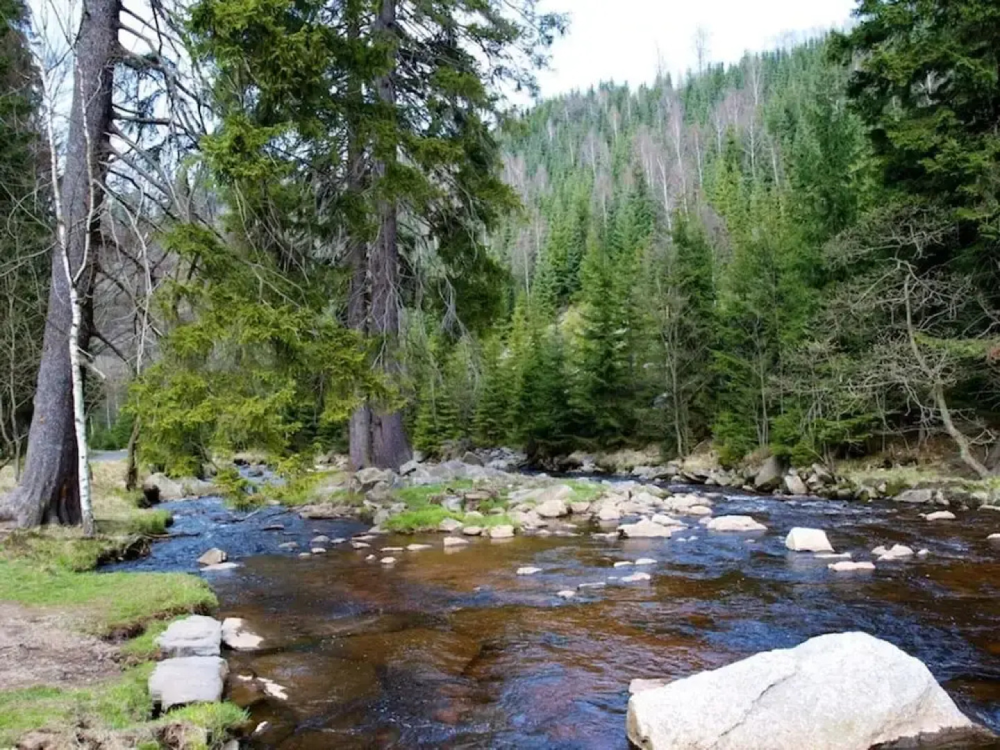 Holiday Apartment Pure Nature