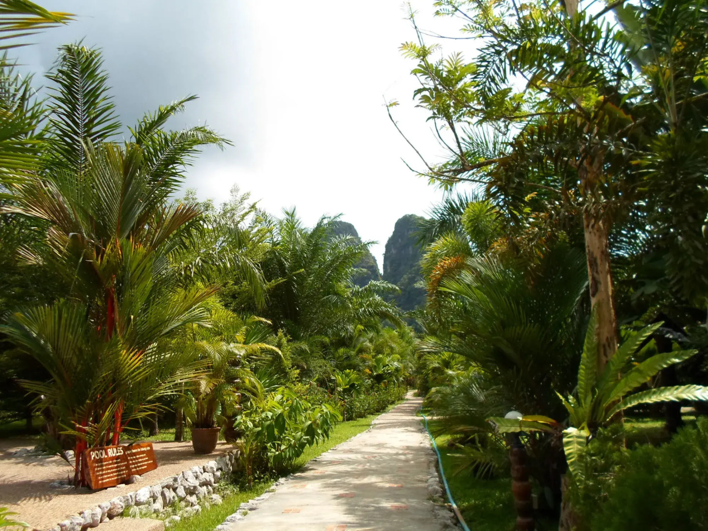 Hotel Khao Sok & Spa