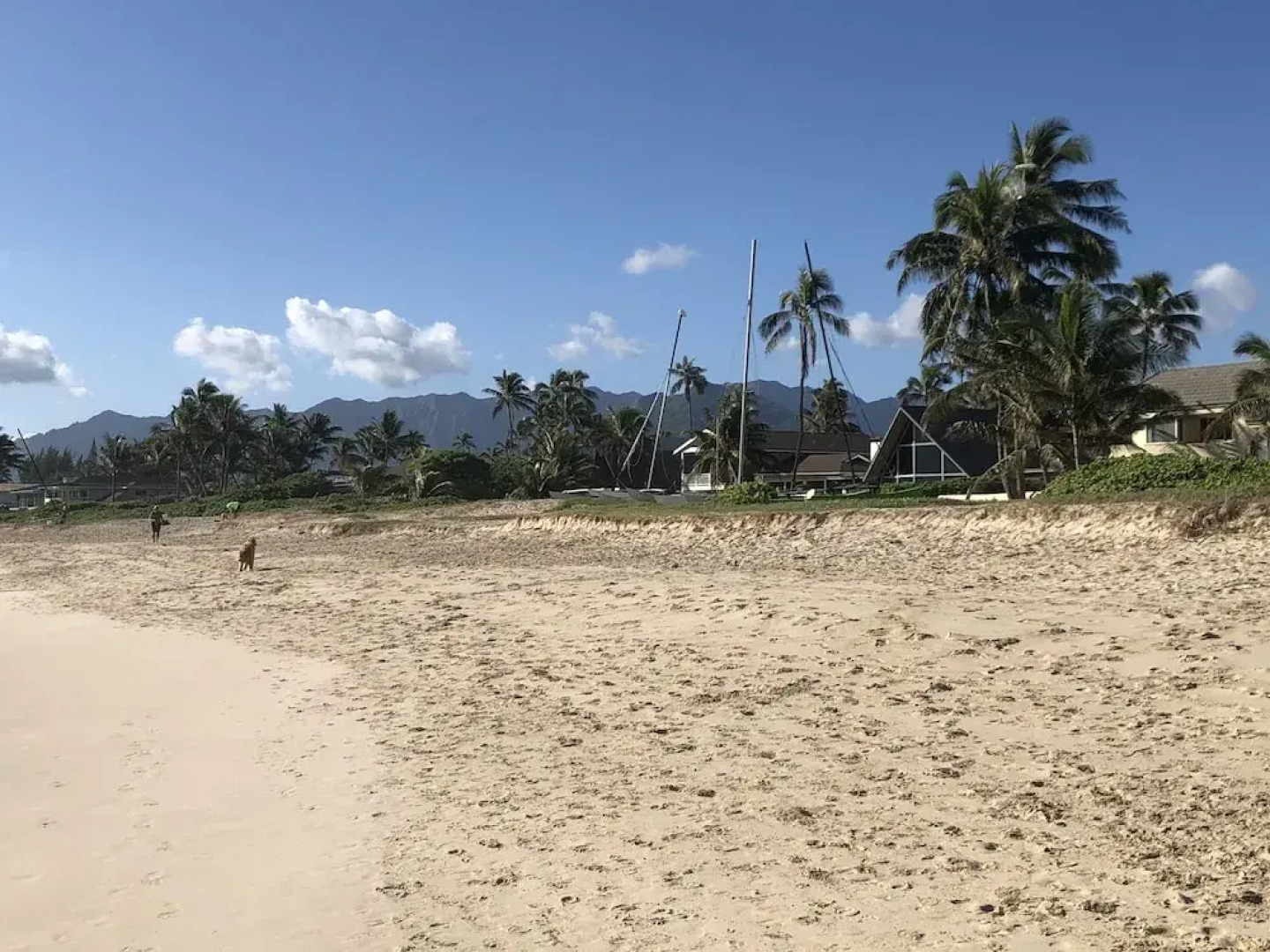 Gorgeous Renovated 1937 Plantation Style Beach House 50 Steps To The Center Of The Beach 5 Bedroom Home by RedAwning