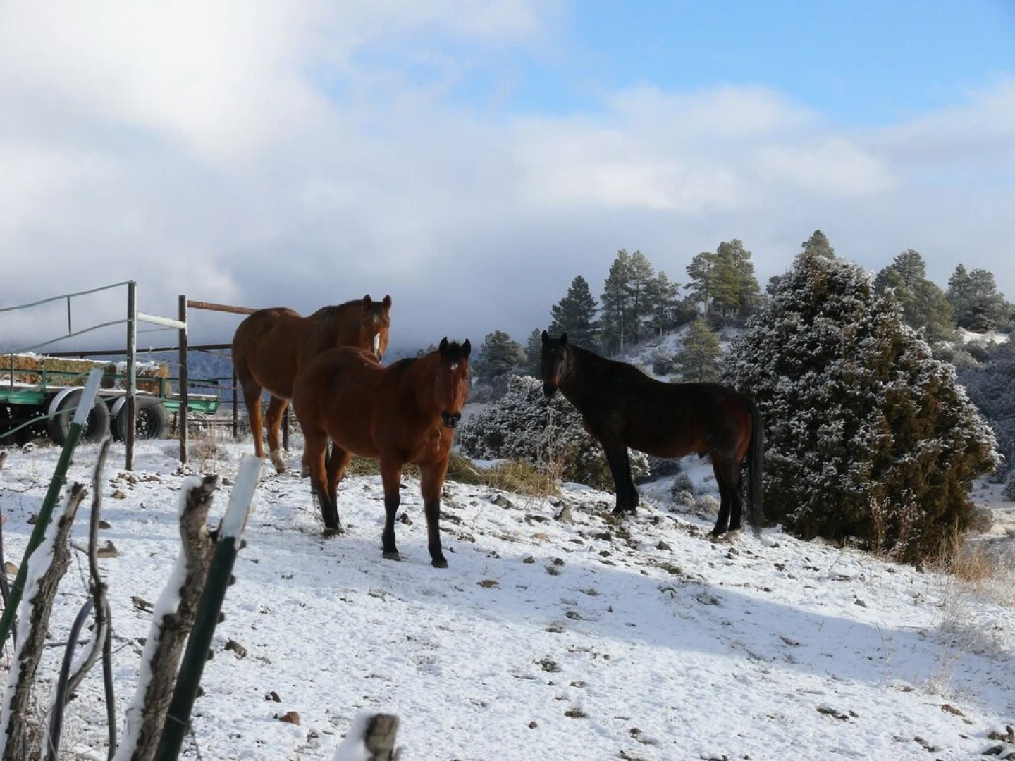 The Ranch At Autumn Woods