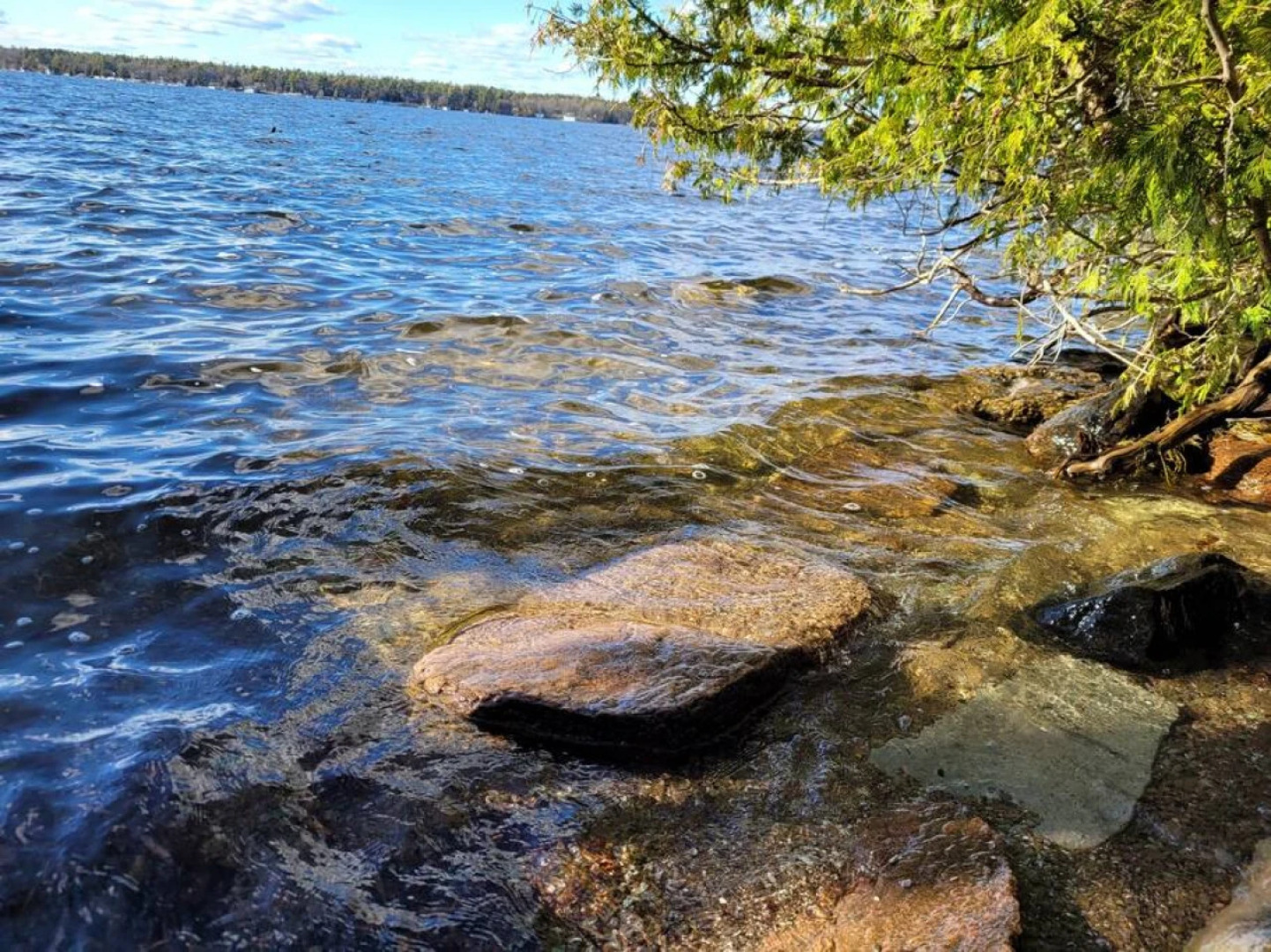 Rustic Pines Waterfront Cottage Clear Water