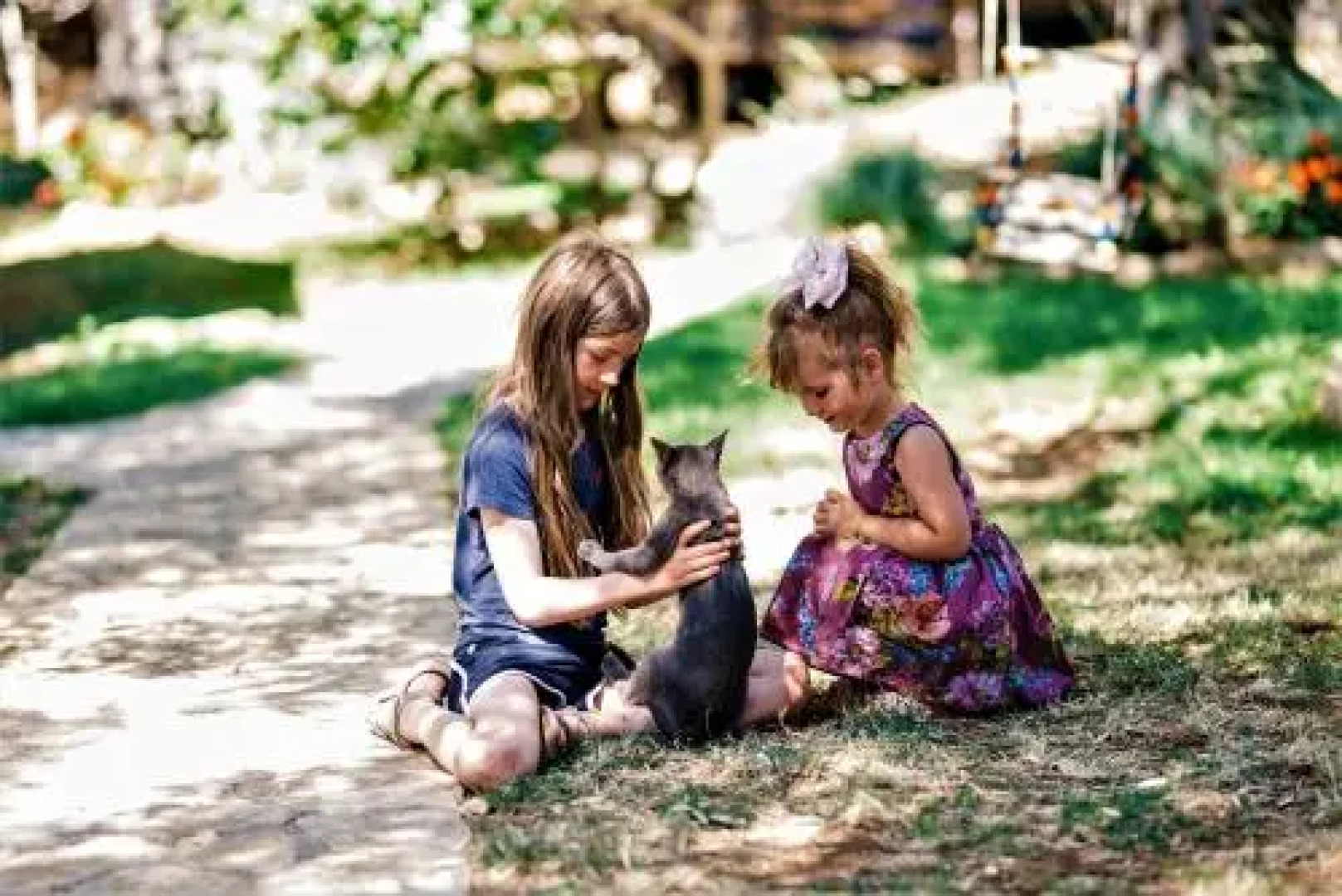 Holiday Park Olive Tree