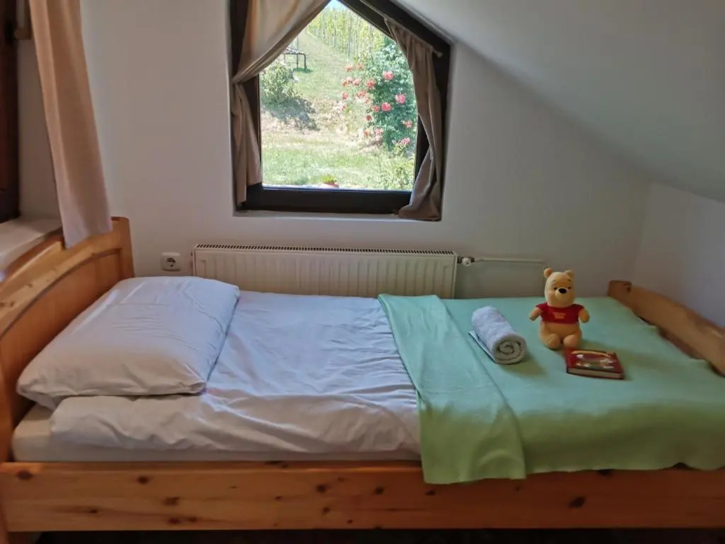 Apartma med vinogradi