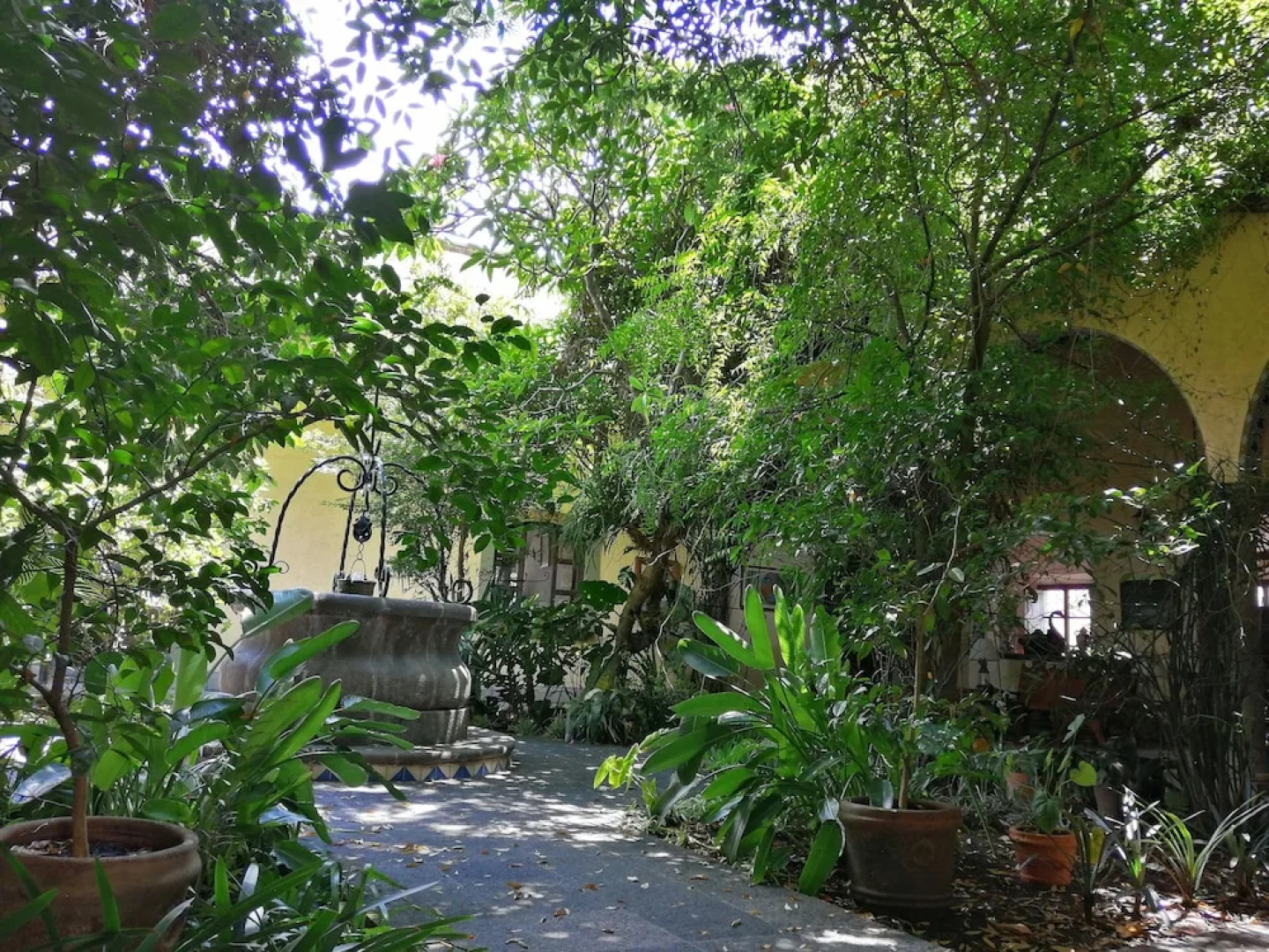 Hotel Posada Cotepec