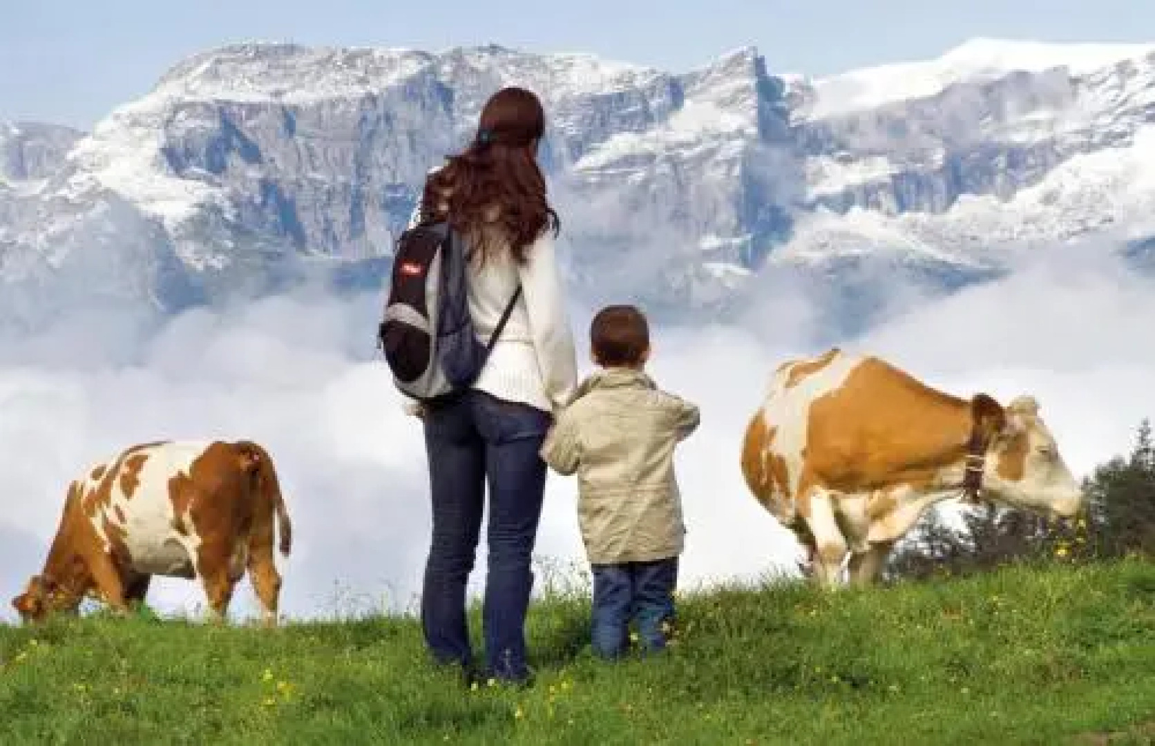 Wohlfühlappartement Bachhäusl