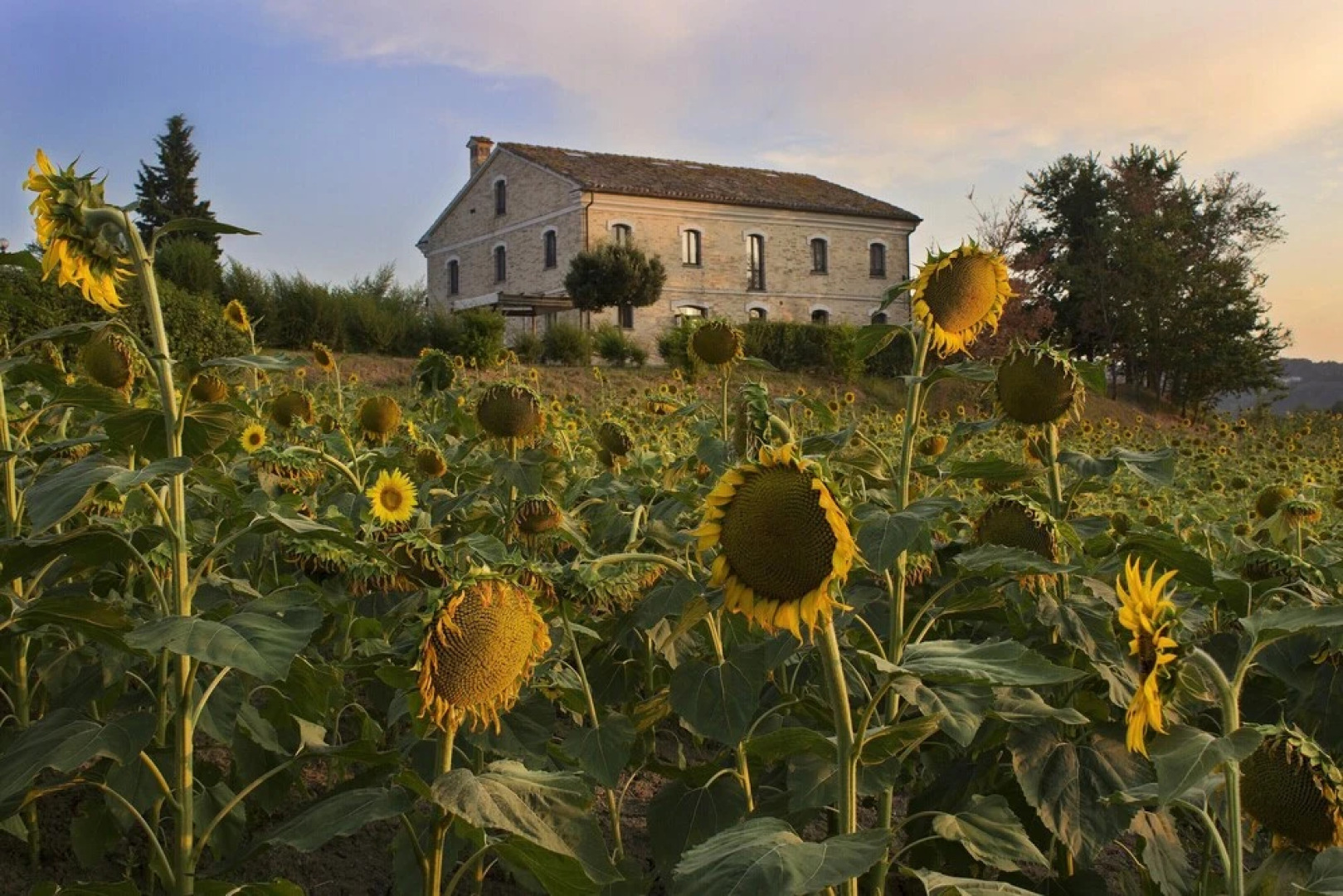 Apartment With 2 Bedrooms in Provincia di Ancona, With Shared Pool and Wifi