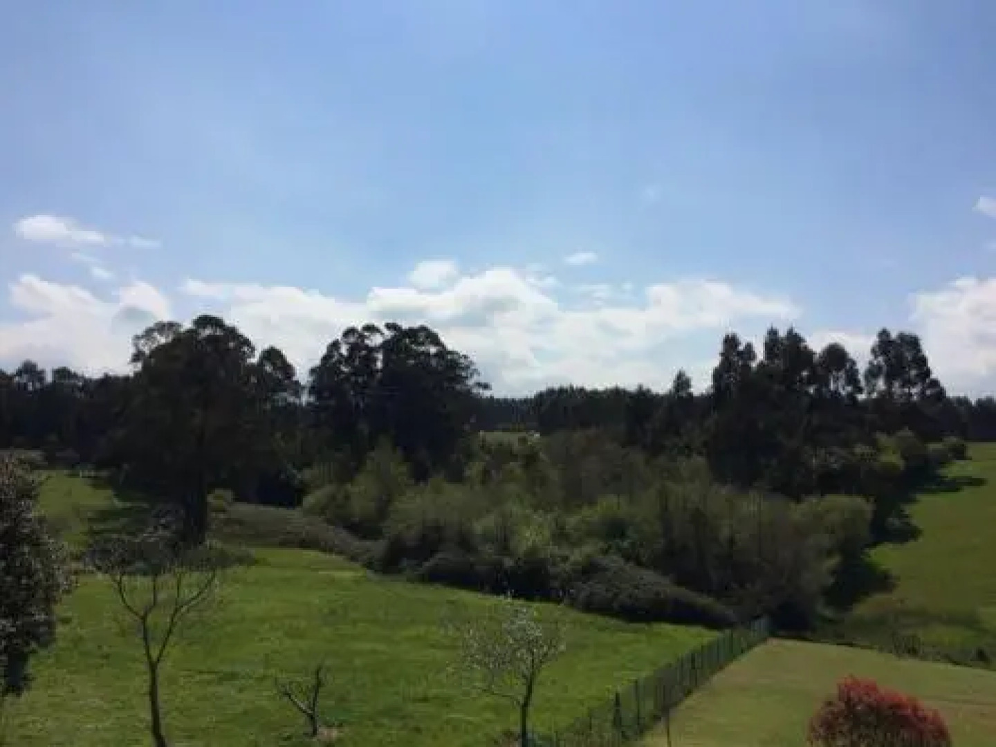 Casa Rural Panizales