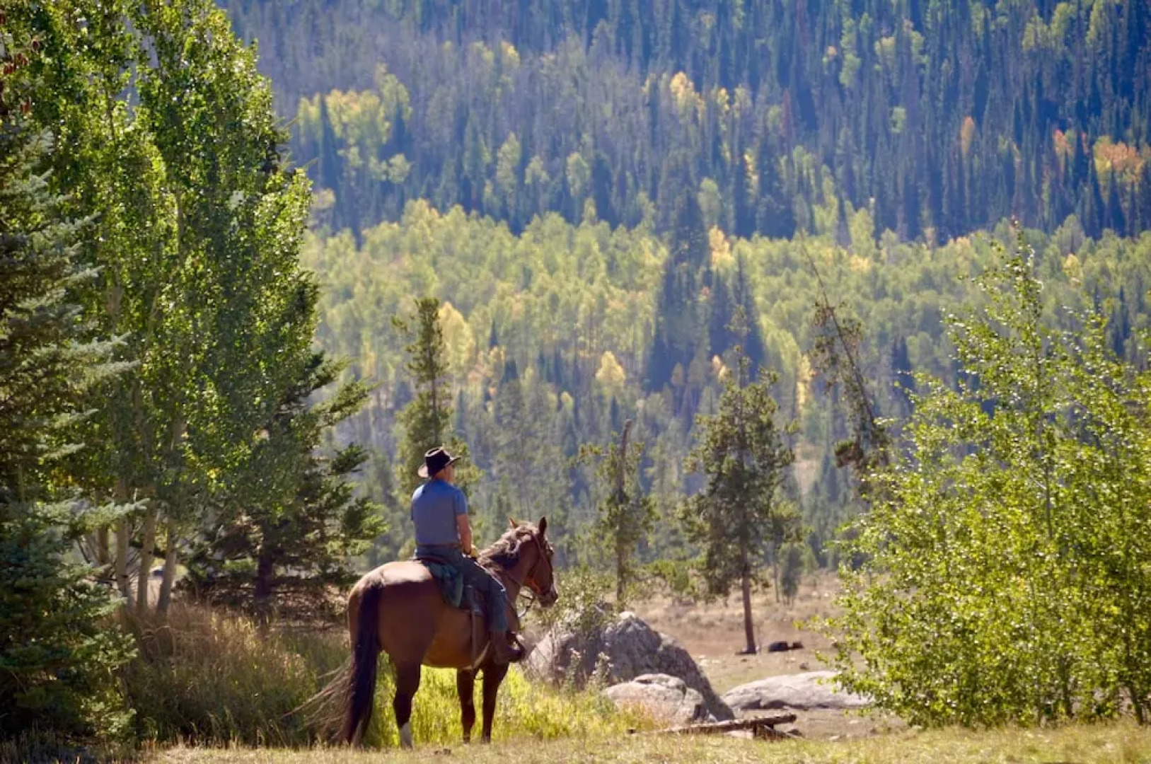 Vista Verde Ranch All-inclusive - Lodge Room