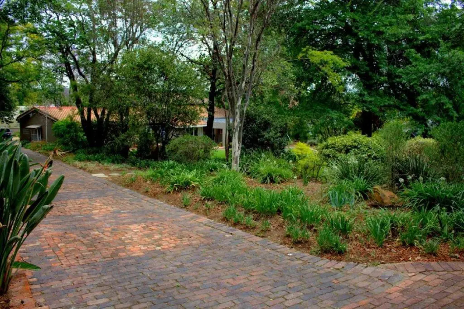 Wild Olive Executive Suite