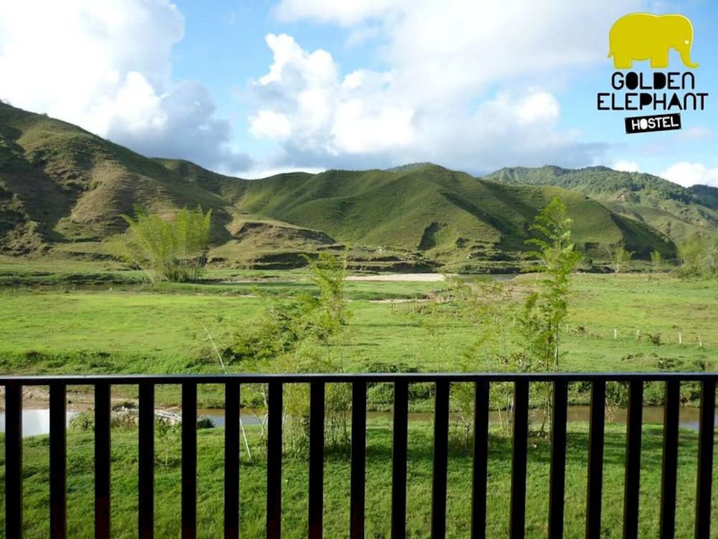 Golden Elephant Hostel