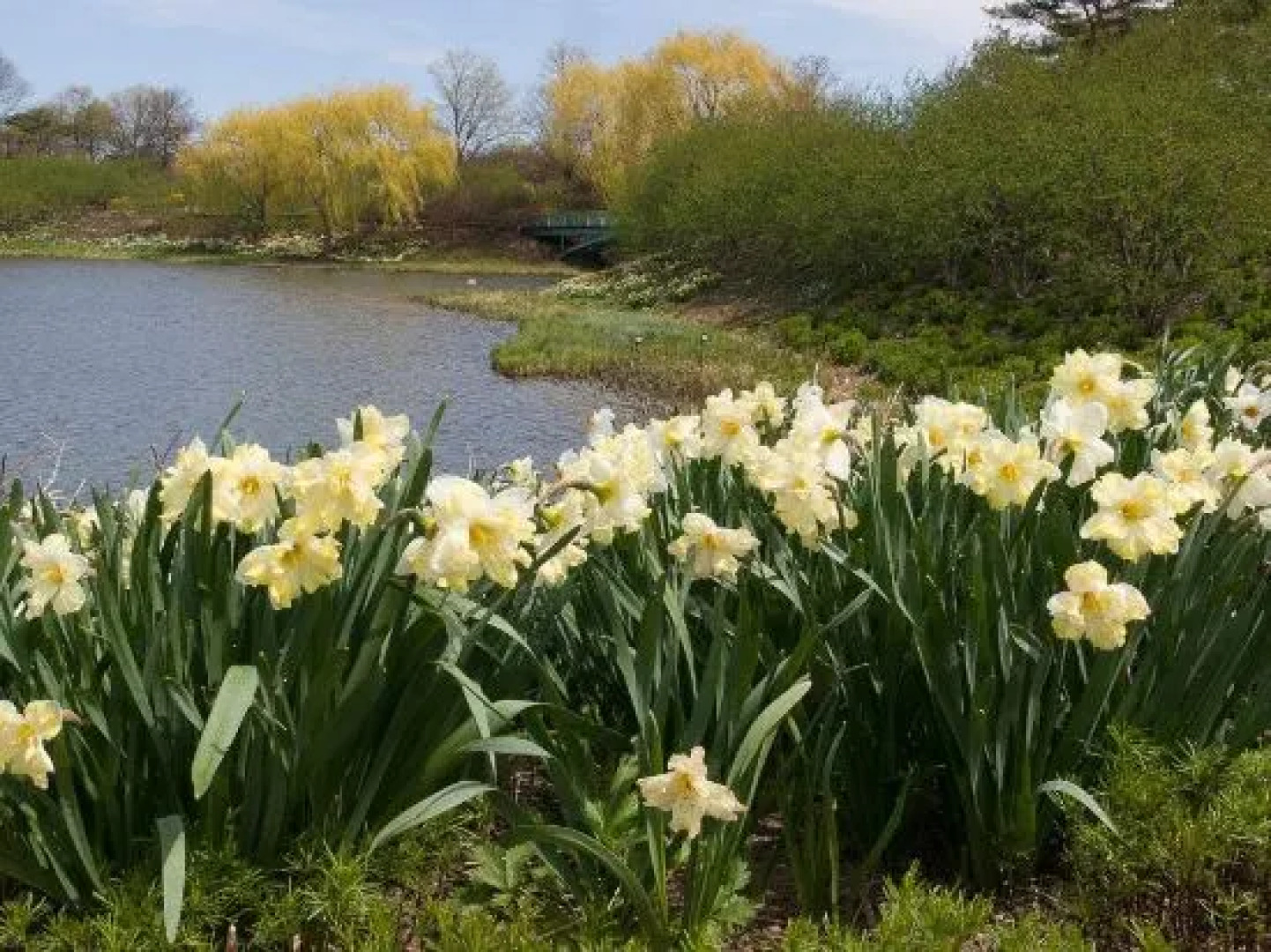Courtyard Chicago Oakbrook Terrace