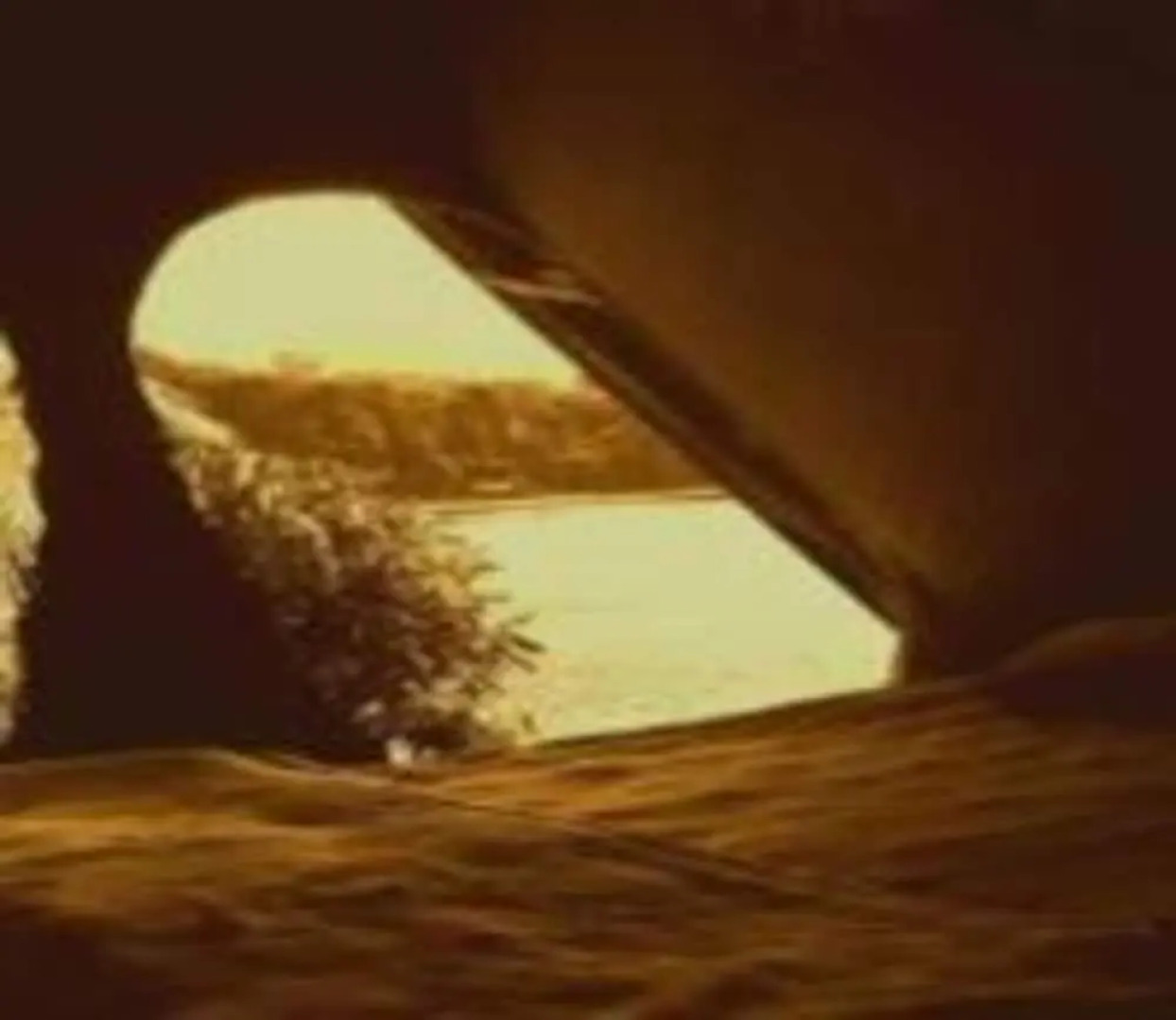 Laster Jony's Guest House