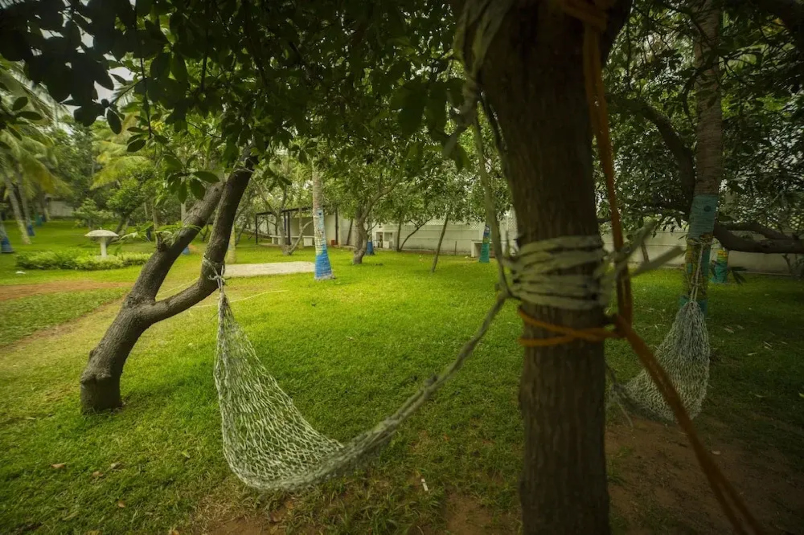 Shelter Beach Resort