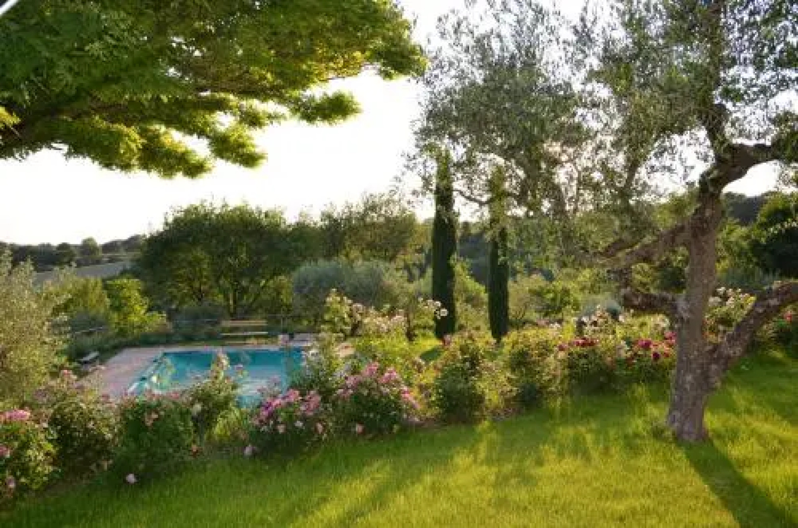 Umbrian Holiday on the enchanting hills of Todi!