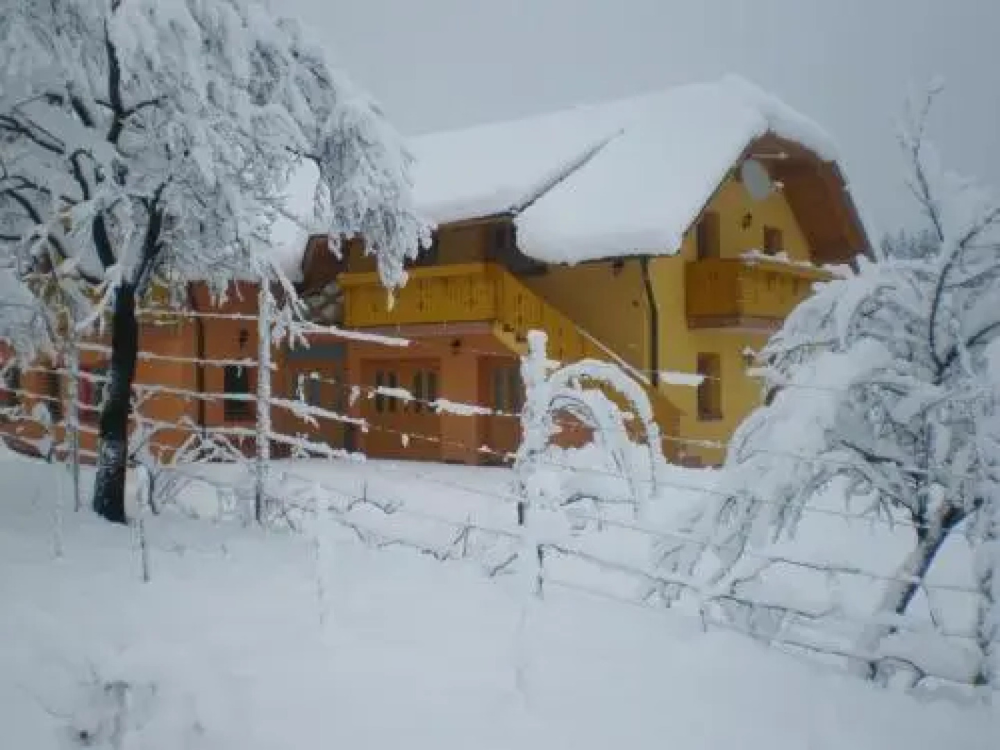 Apartment Beli Zajec