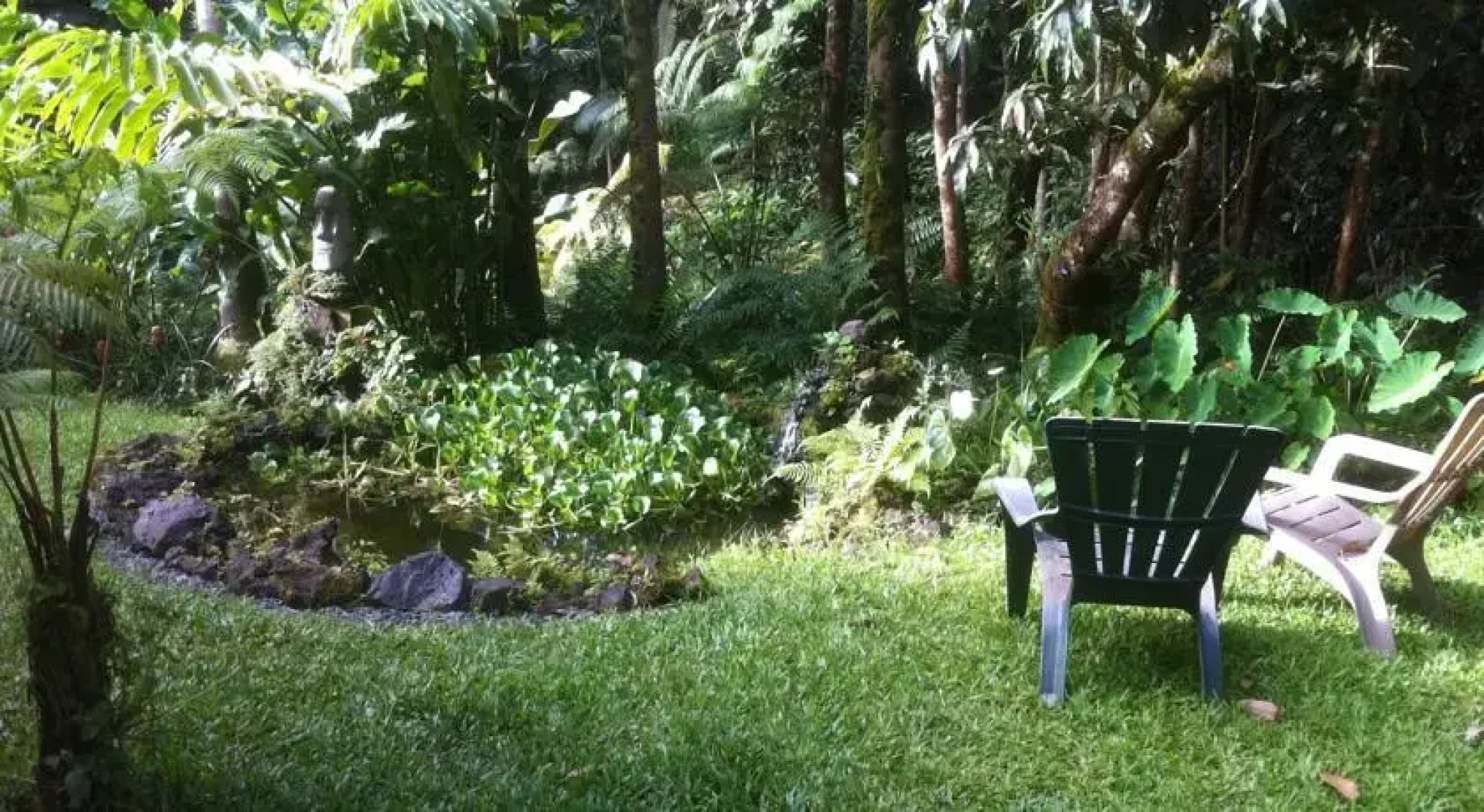 The Jungle Farmhouse