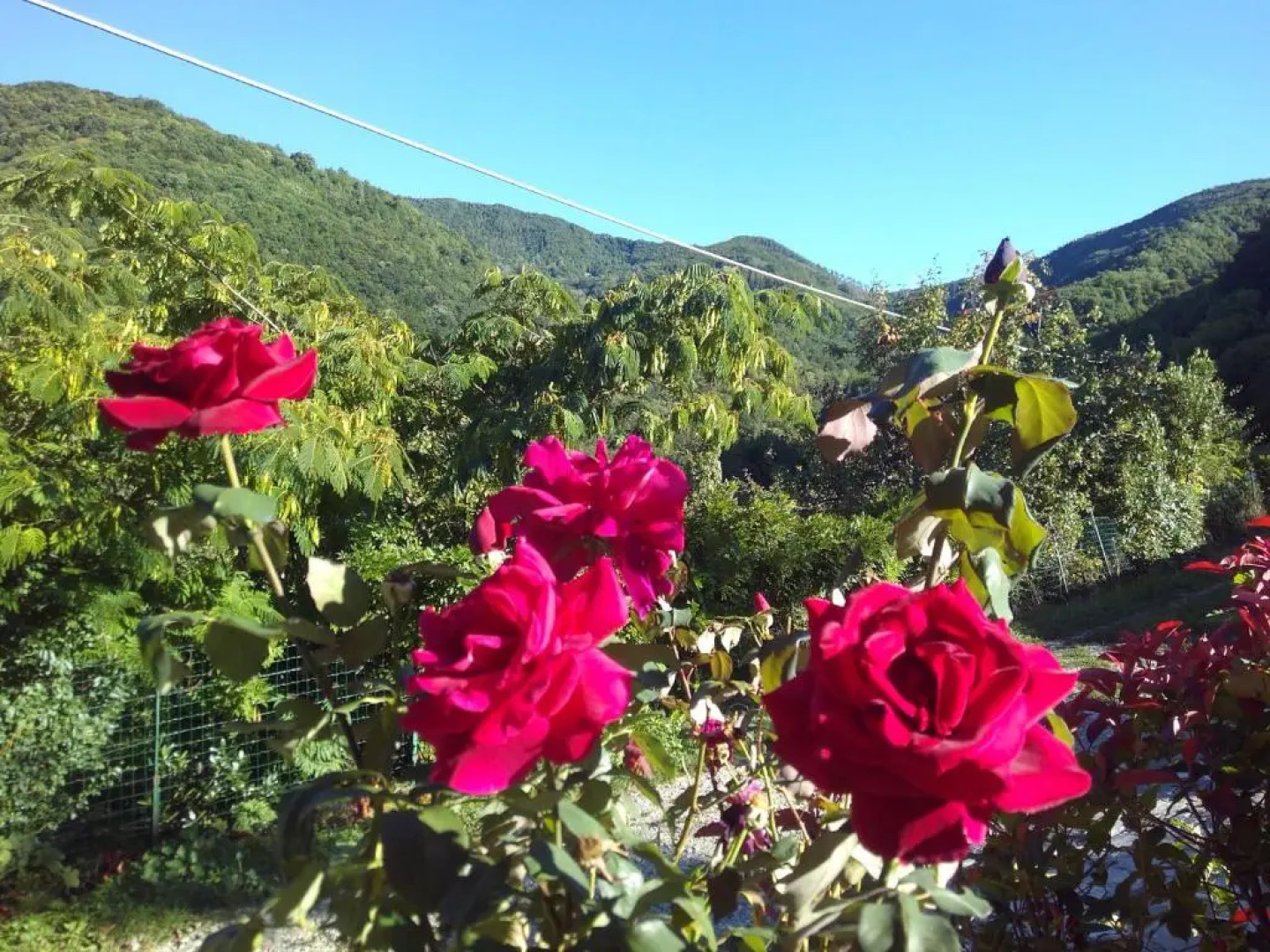 Agriturismo Cà Sonino