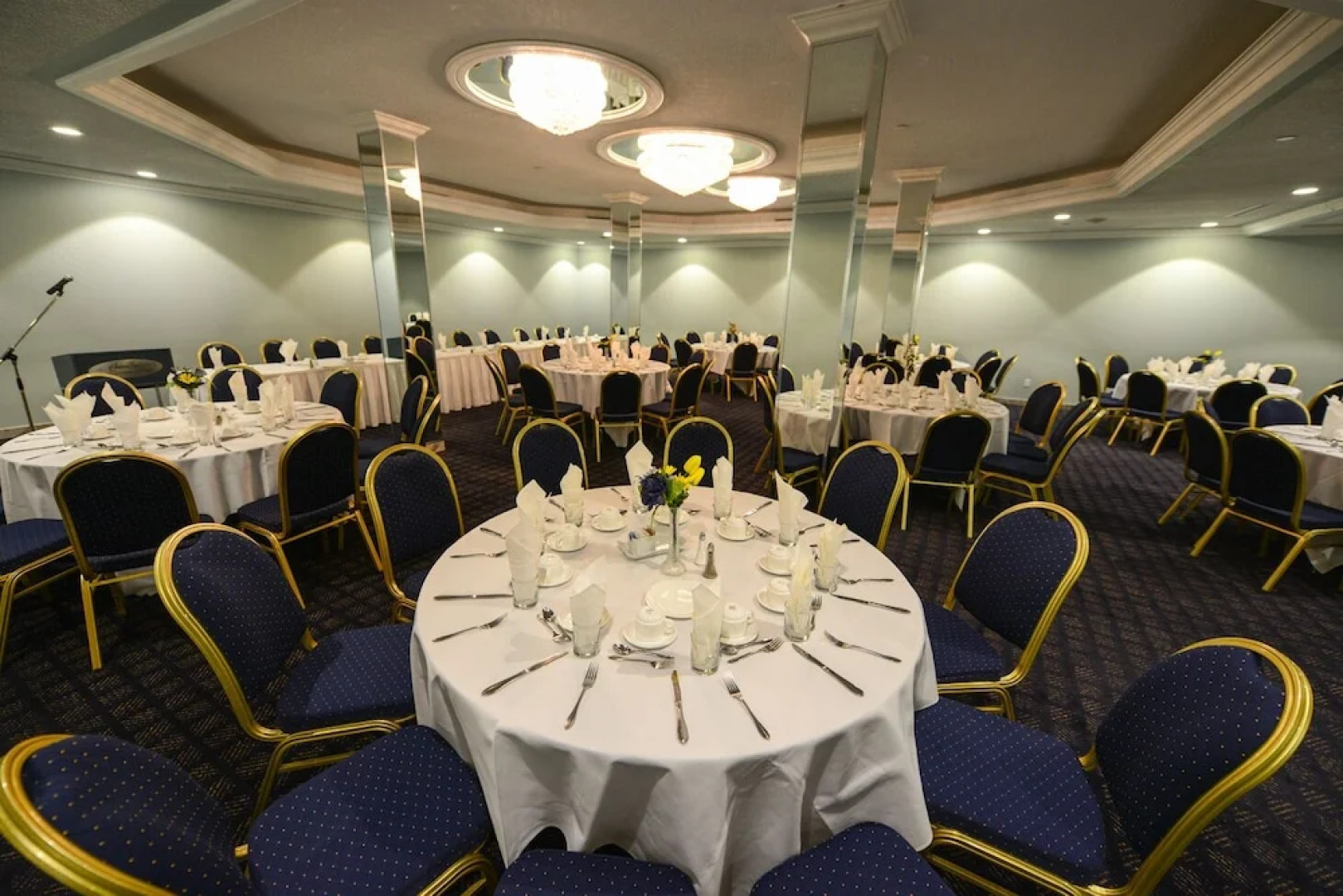 Chateau Louis Hotel & Conference Centre