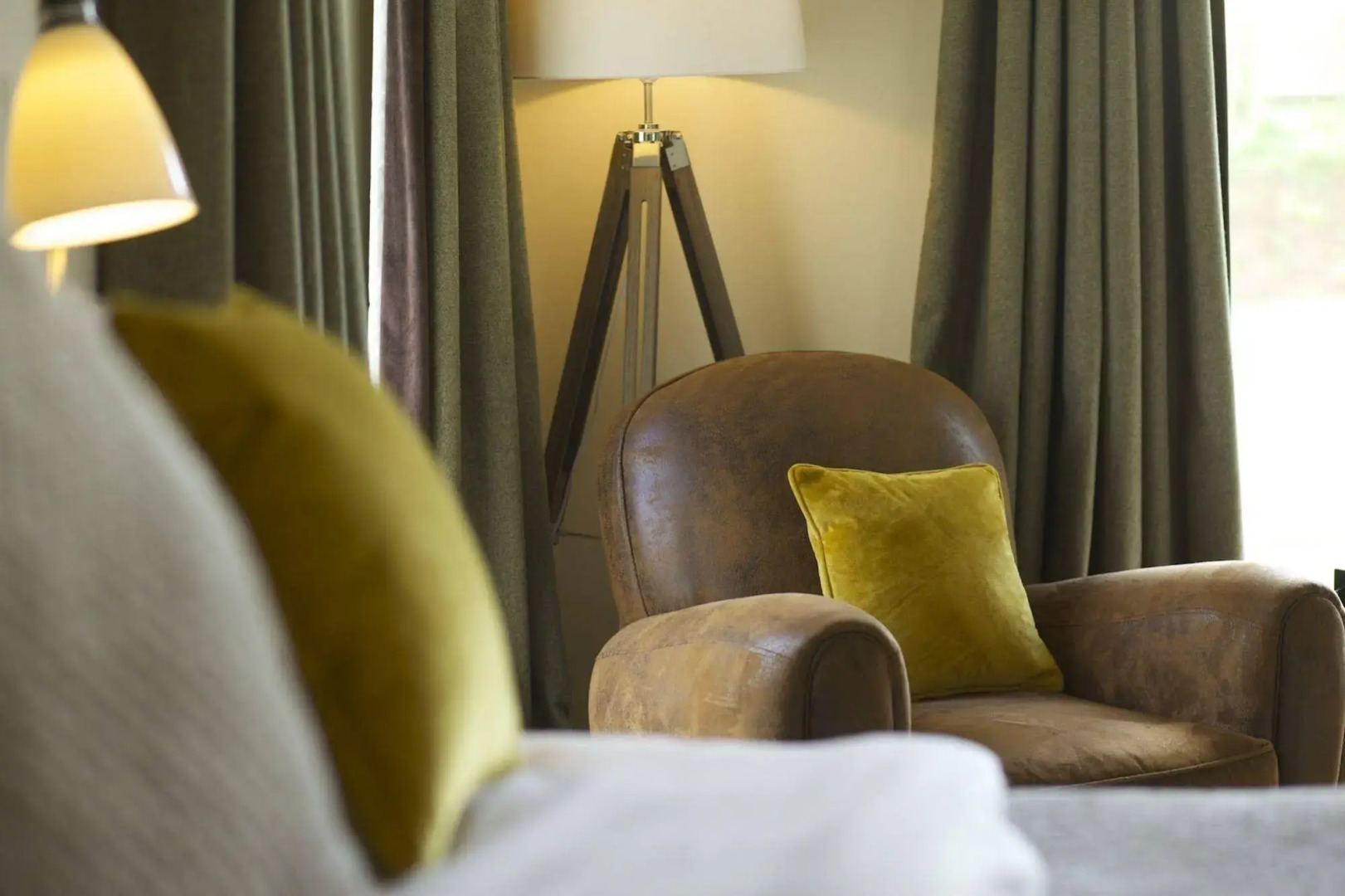 The Plume of Feathers