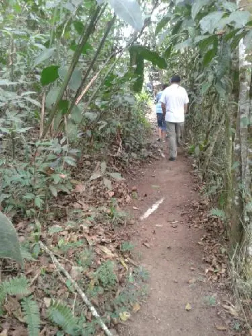 Mindogreen Turismo Ecológico