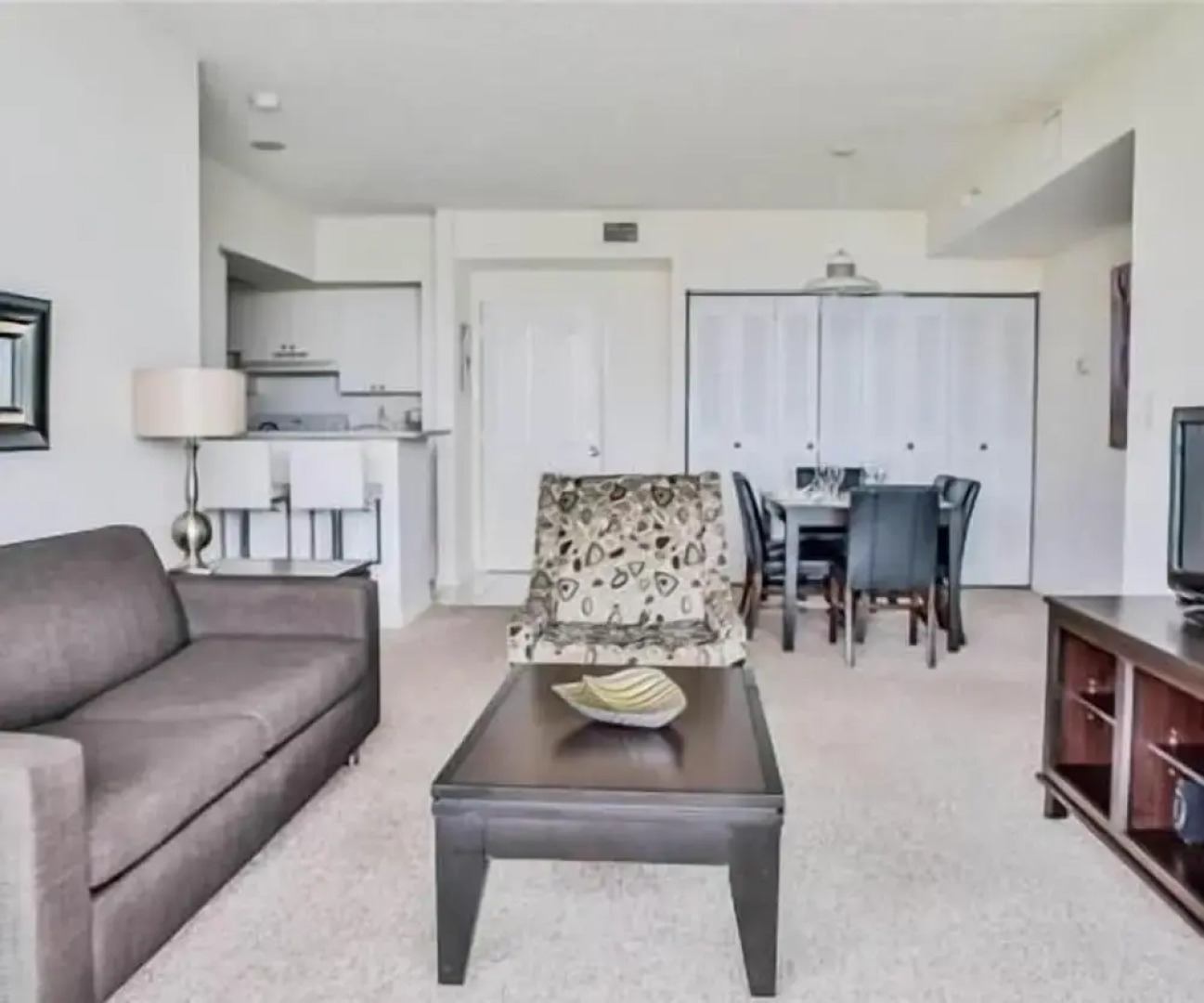 America Luxury Intracoastal Apartments