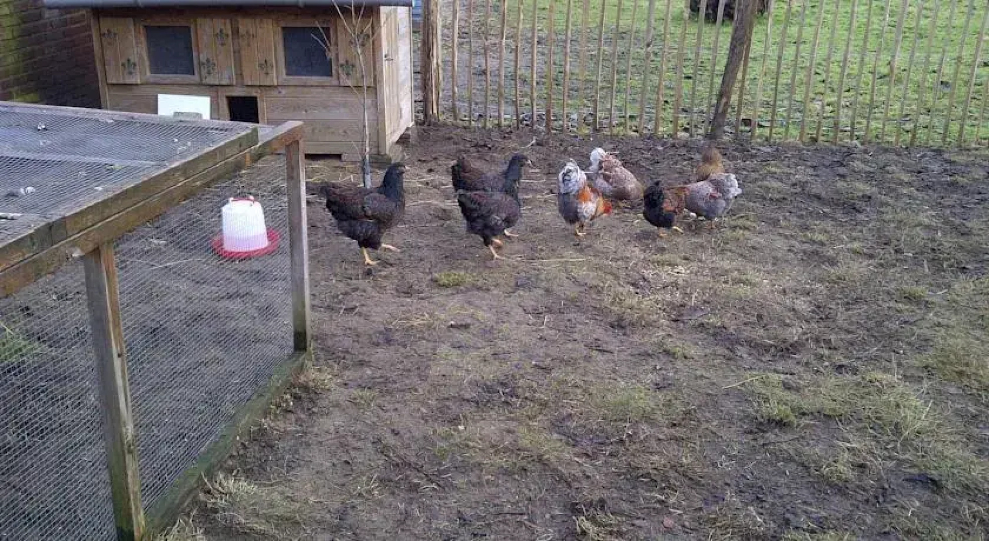 Welkom op de Mildert